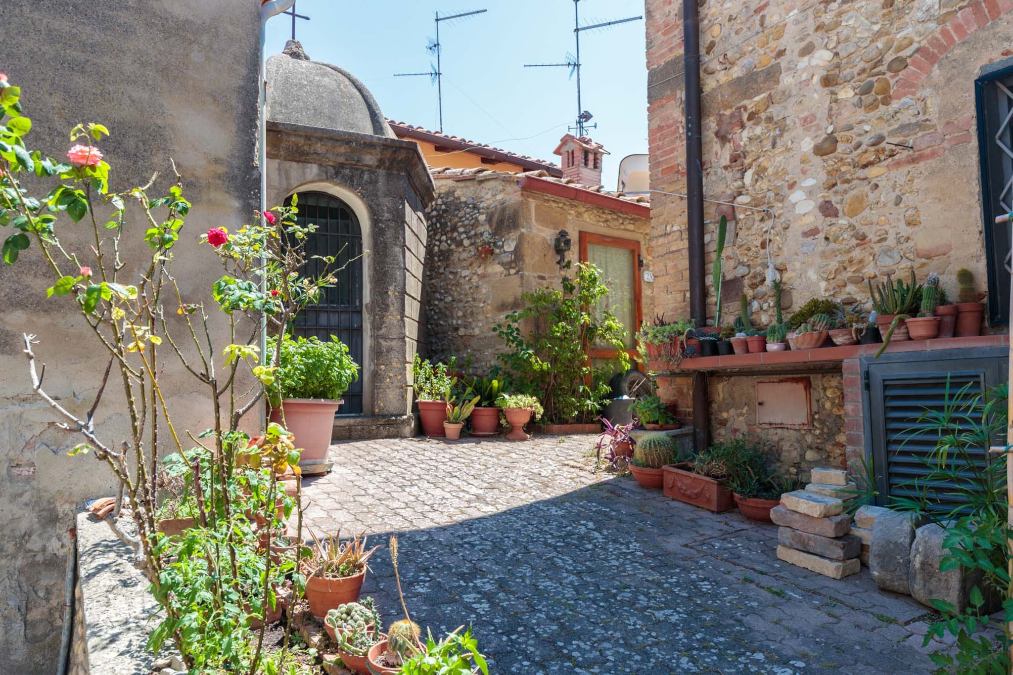 Villa Chianti-Gardens summer