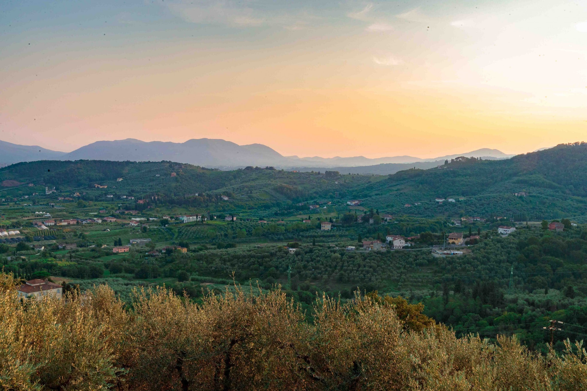 Villa Il Castello-Not tagged