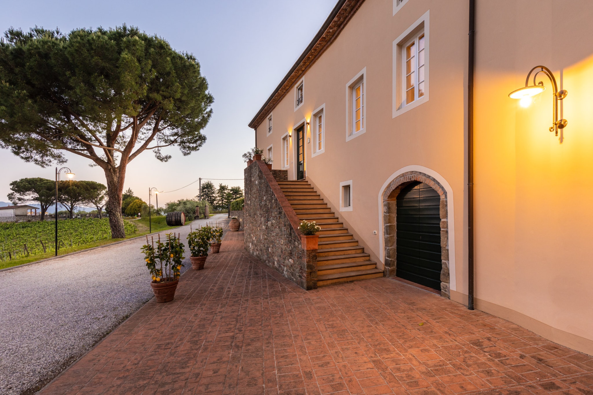 Fattoria Camigliano Wine Estate-Niet-getagd