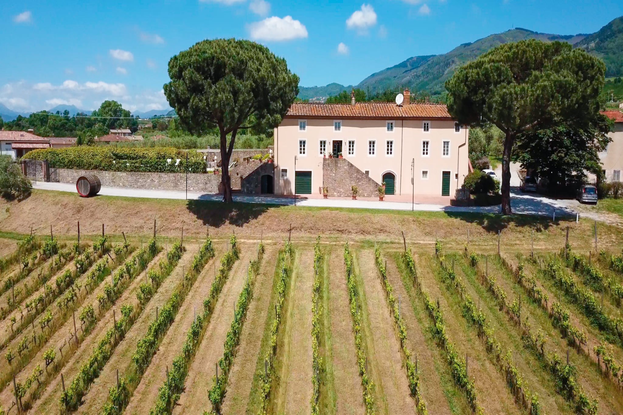 Fattoria Camigliano Wine Estate-Niet-getagd