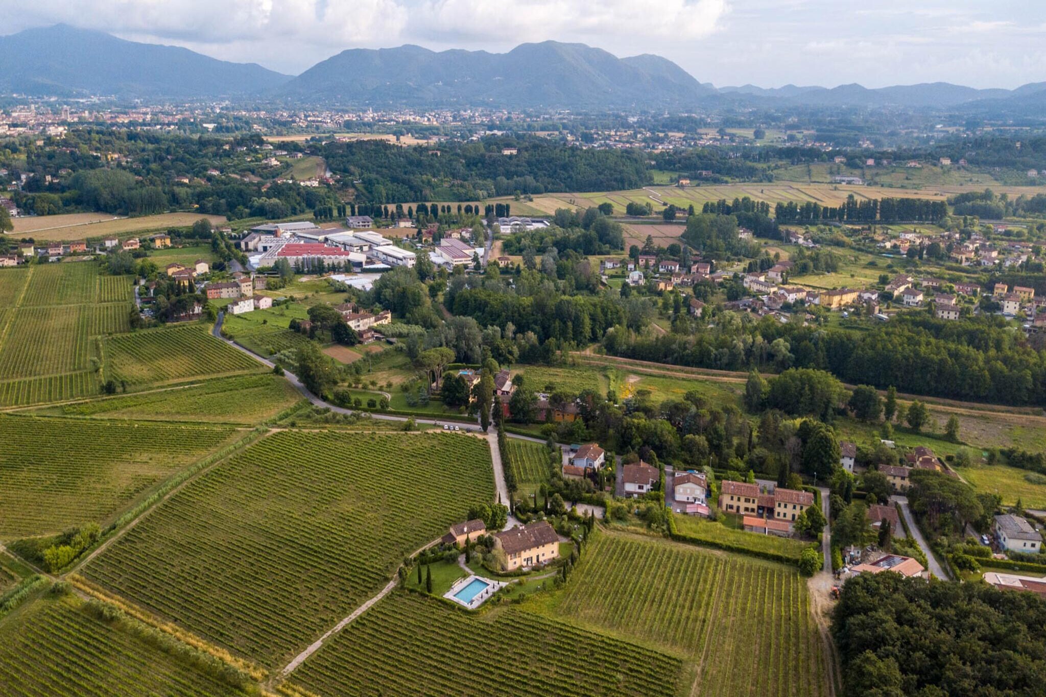 Cicale Farmhouse, 3 bedrooms Farmhouse with Pool - Uitzicht zomer