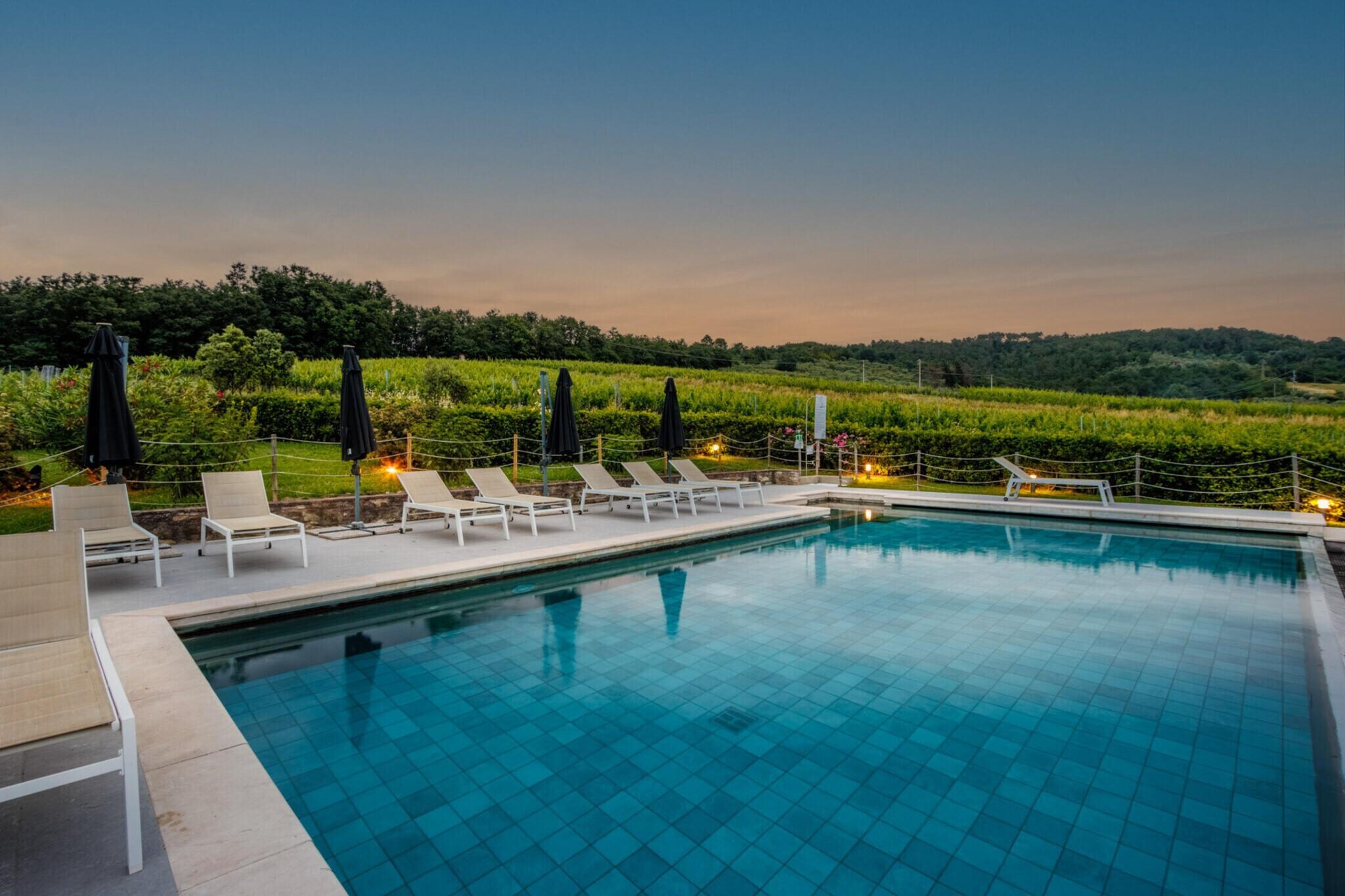 Anna Farmhouse Apartment in Wine Resort in Lucca - Zwembad