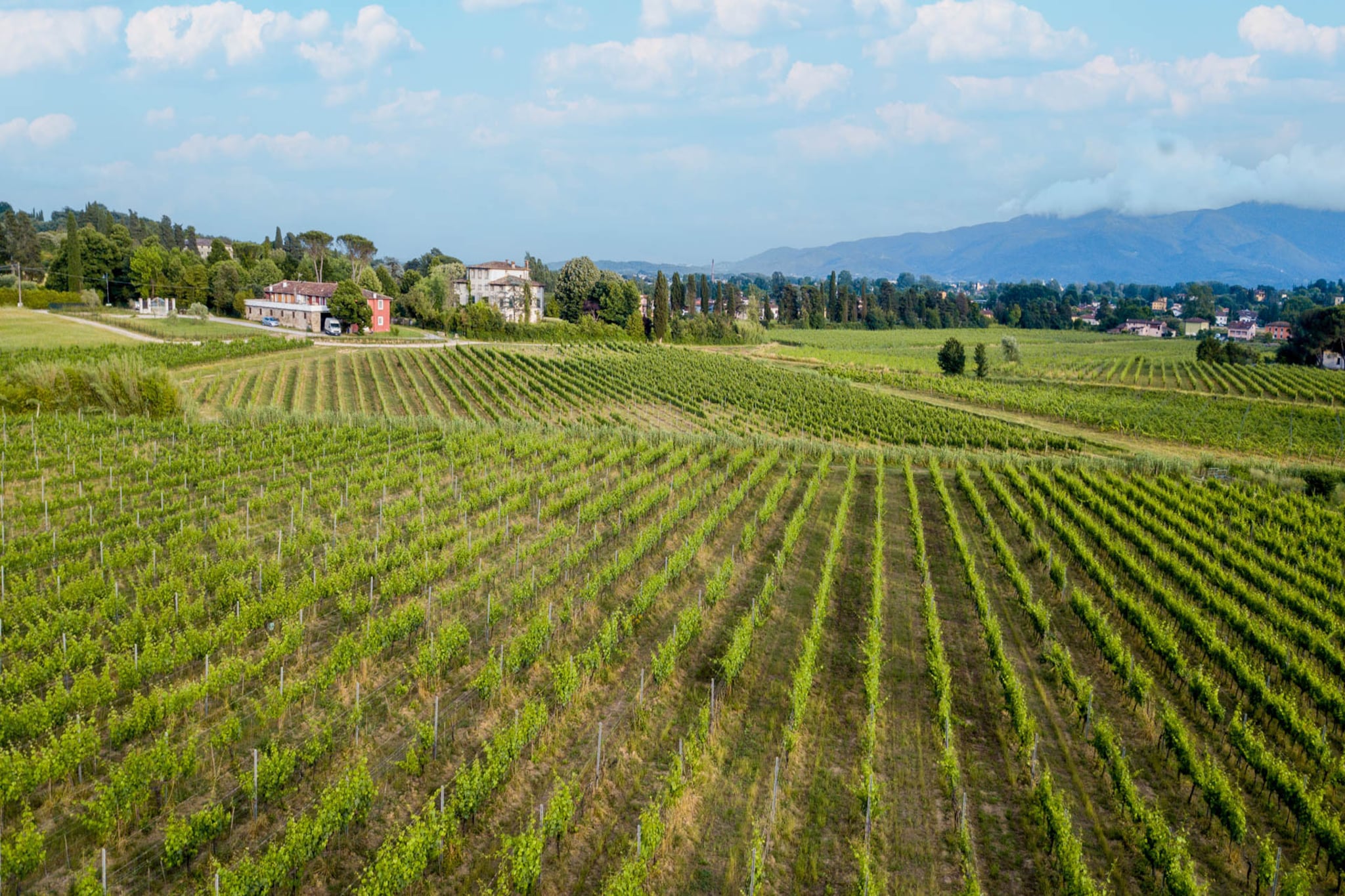 Pietro Farmhouse Apartment in Wine Resort in Lucca-Nicht getaggt