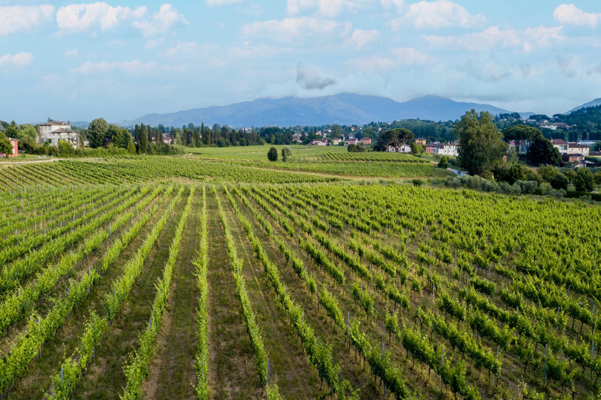 Maria Farmhouse Apartment in Wine Resort in Lucca-Nicht getaggt