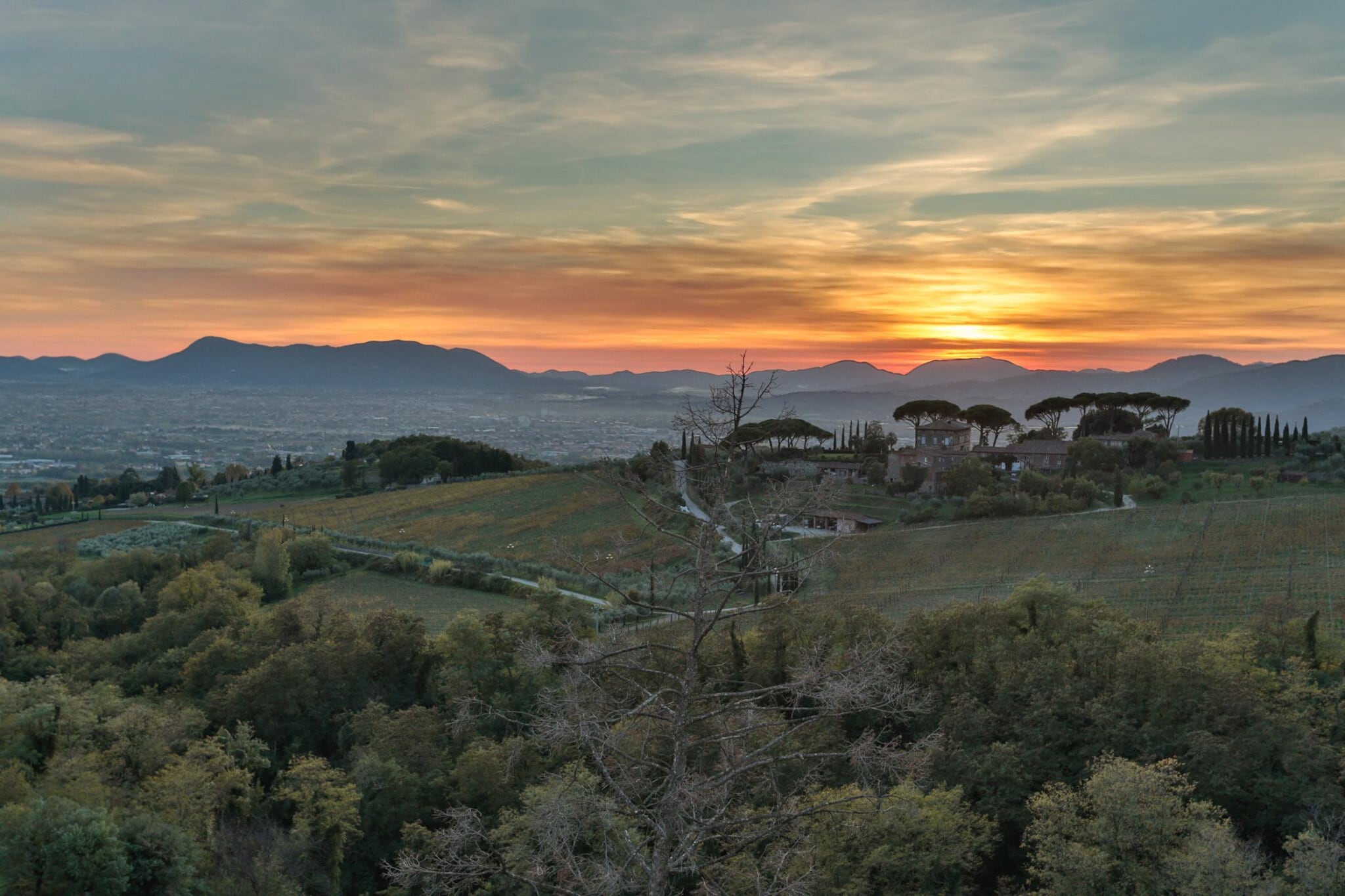 Casa Lucchese at Borghetto Farmhouse - Gebieden zomer 1km