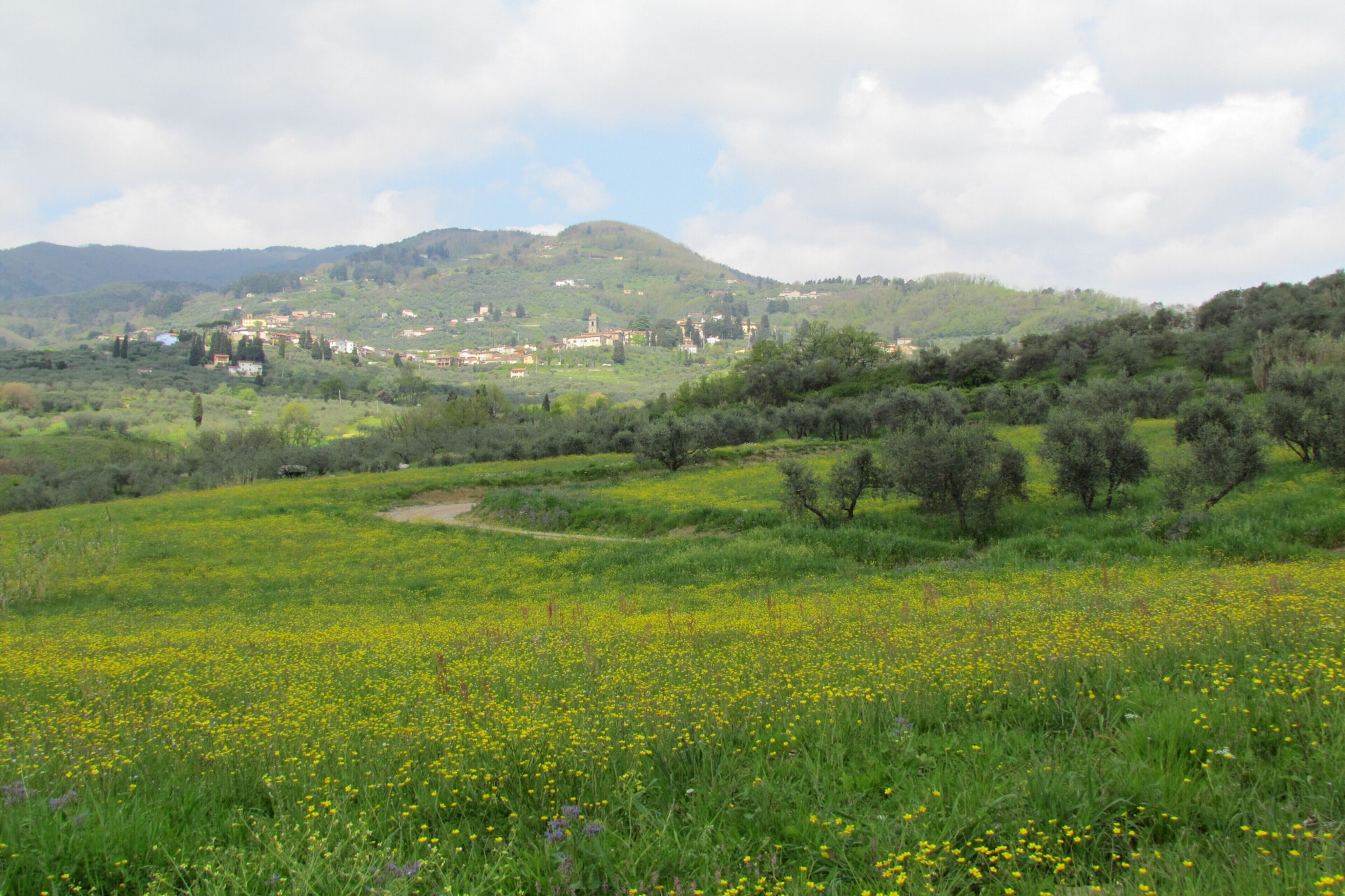Casa San Gennaro at Borghetto Farmhouse-Niet-getagd
