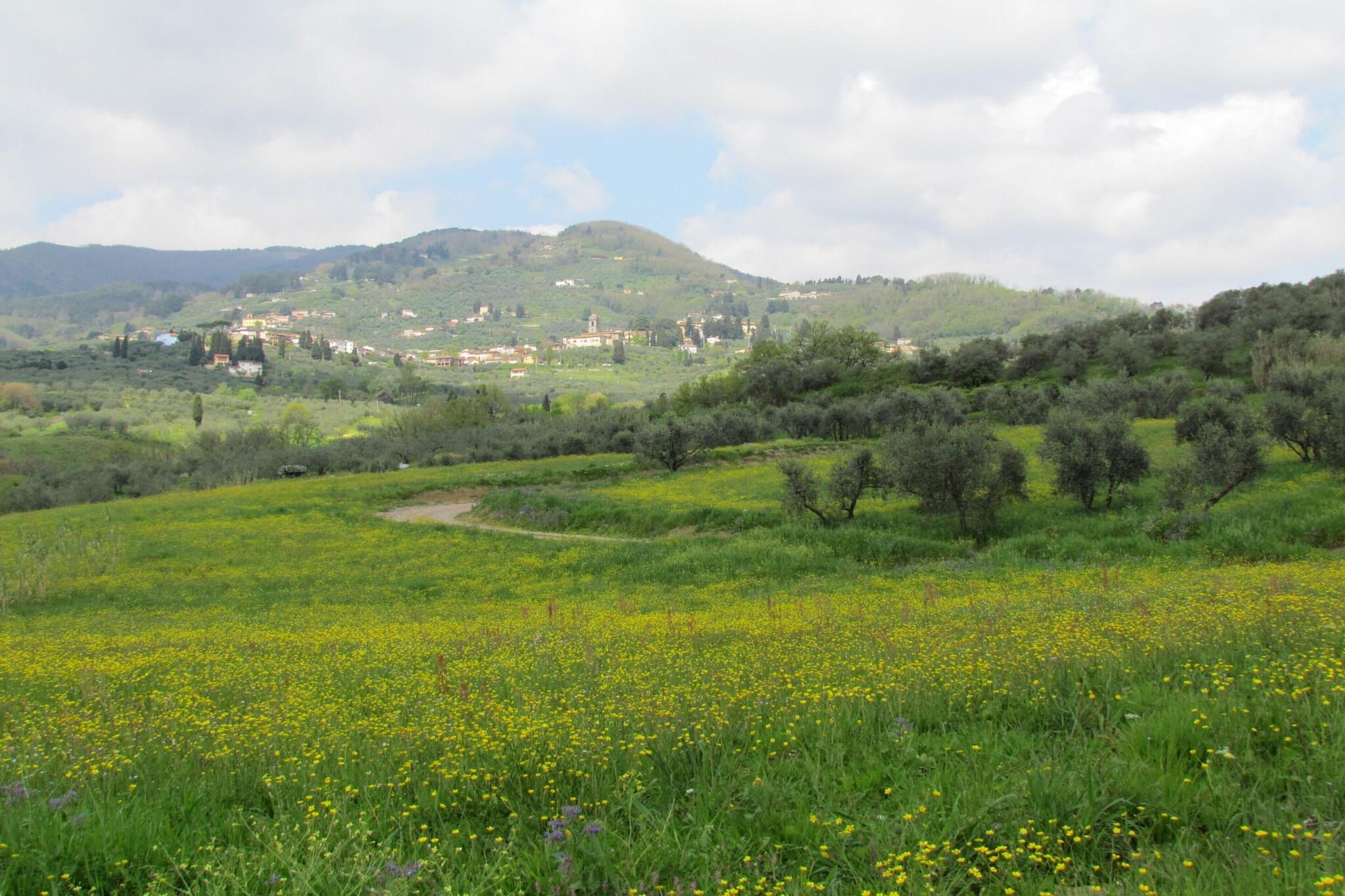 Casa San Gennaro at Borghetto Farmhouse - Uitzicht