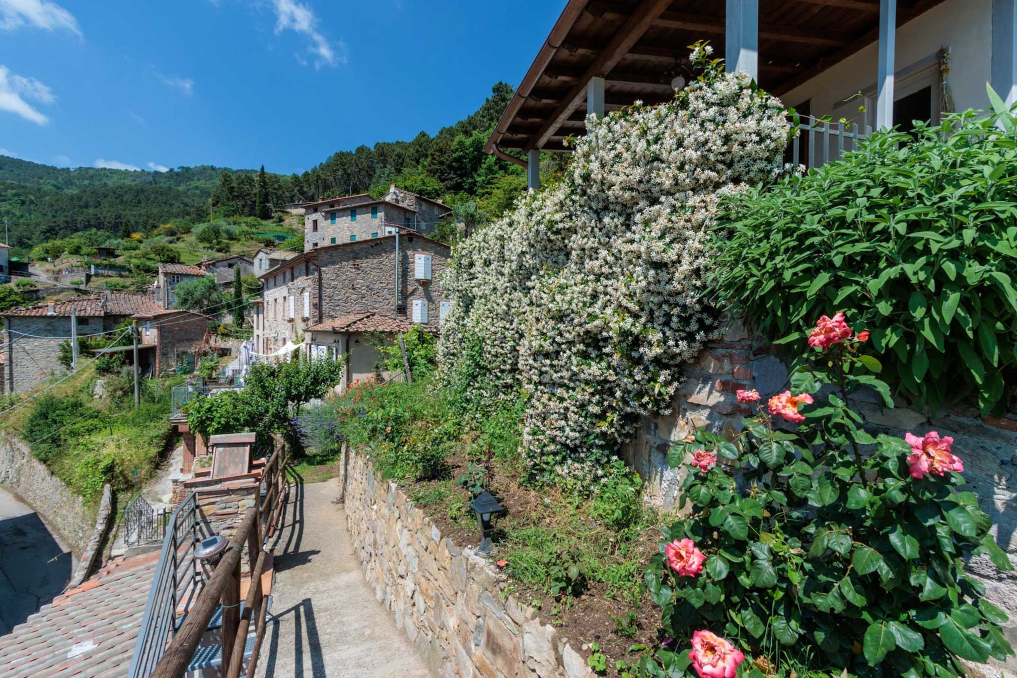 Cottage Gigi-Nicht getaggt