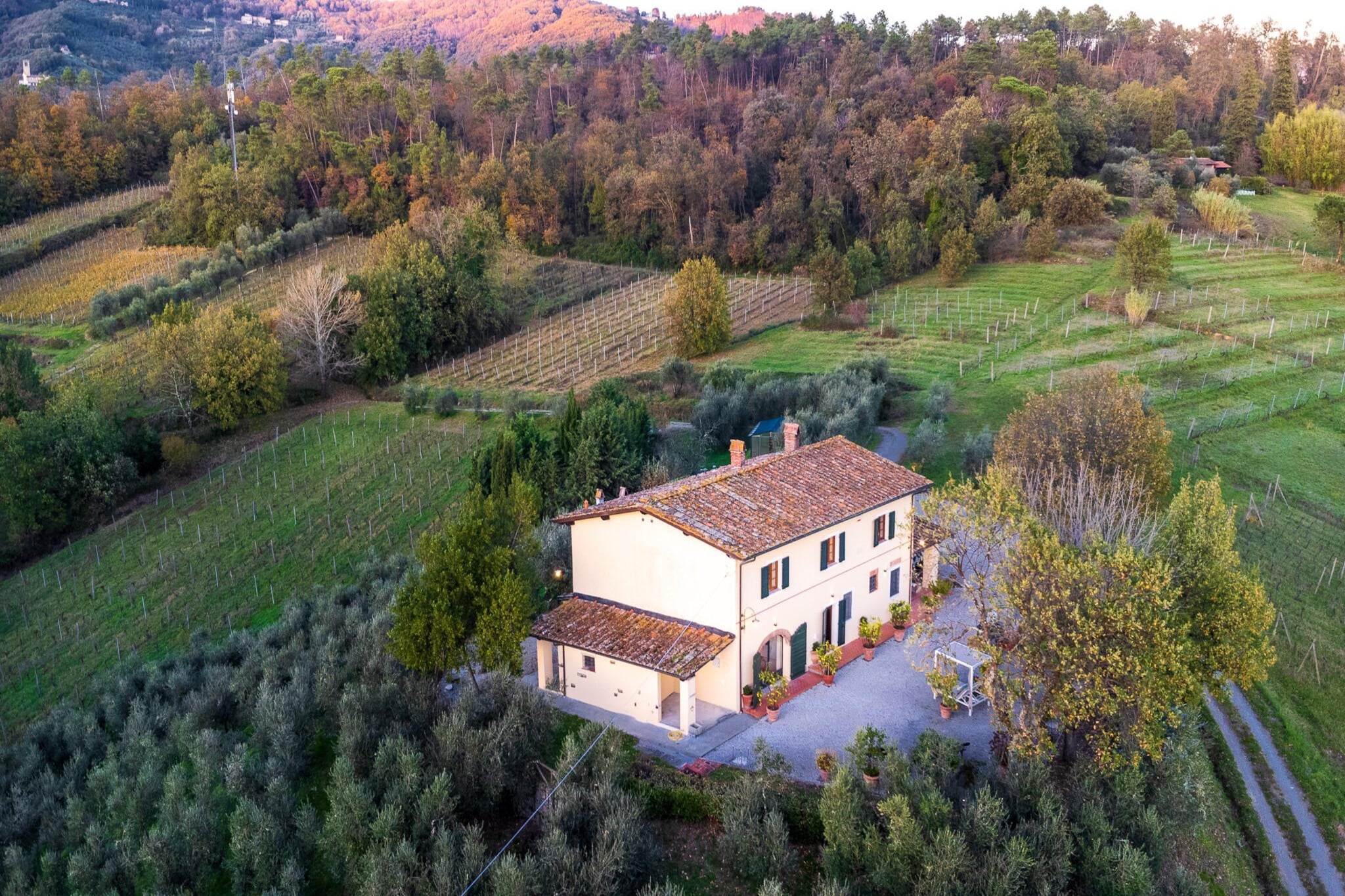 Amore Farmhouse Retreat - Buitenkant zomer