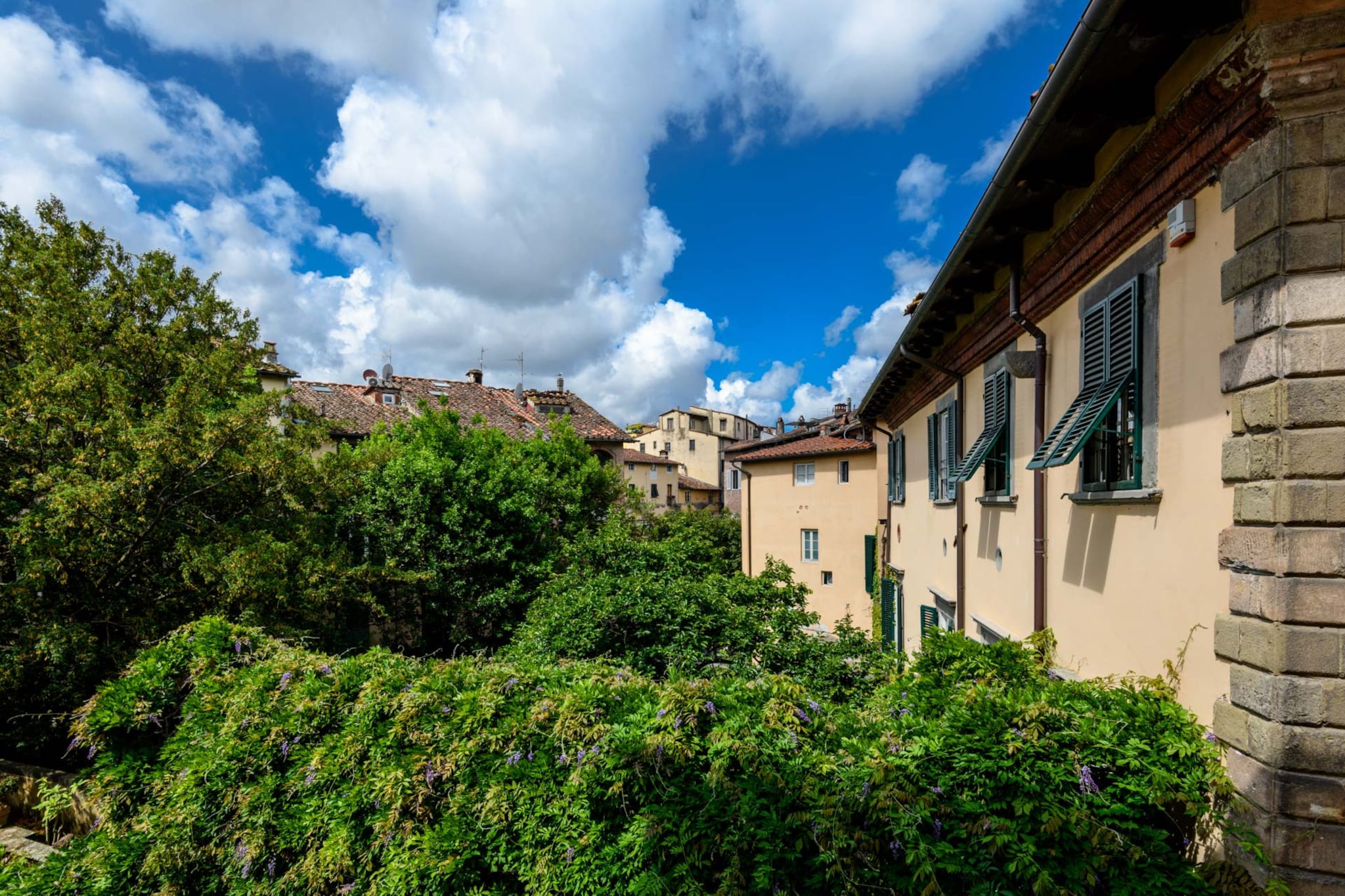 Garden Vista Apartment-Nicht getaggt