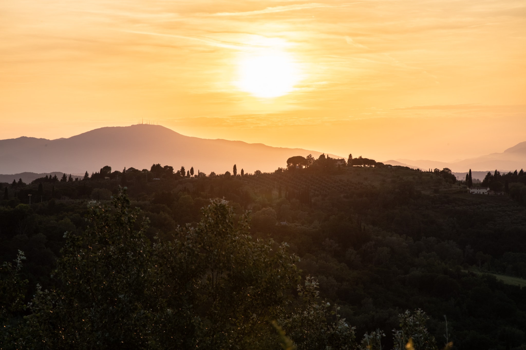 Villa San Miniato-Niet-getagd