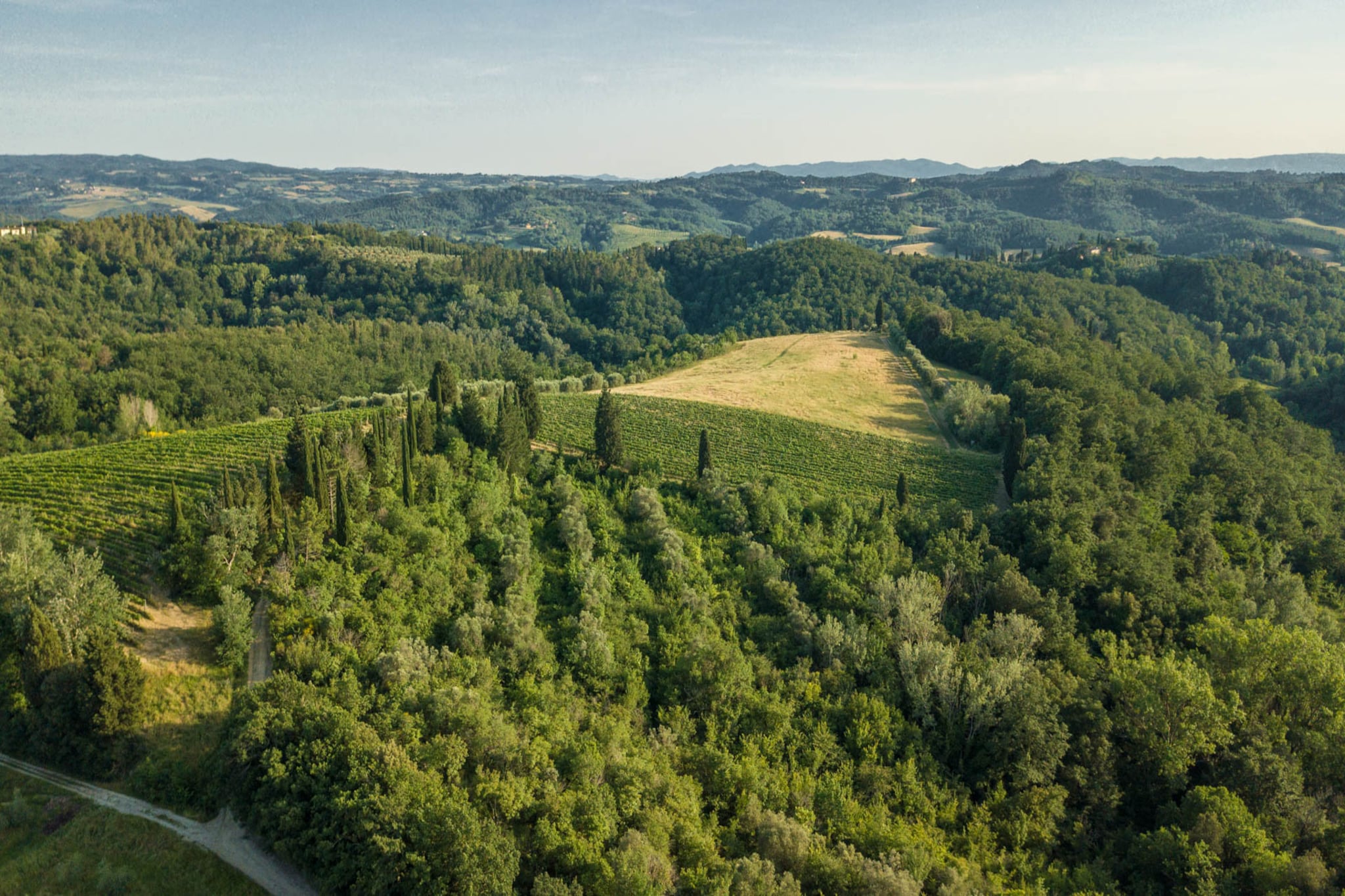 Villa San Miniato-Niet-getagd