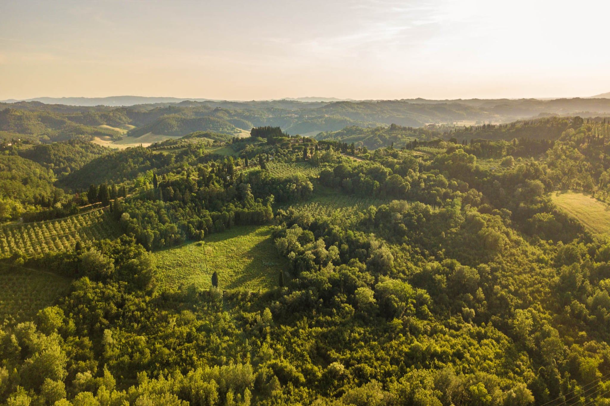 Villa San Miniato-Niet-getagd
