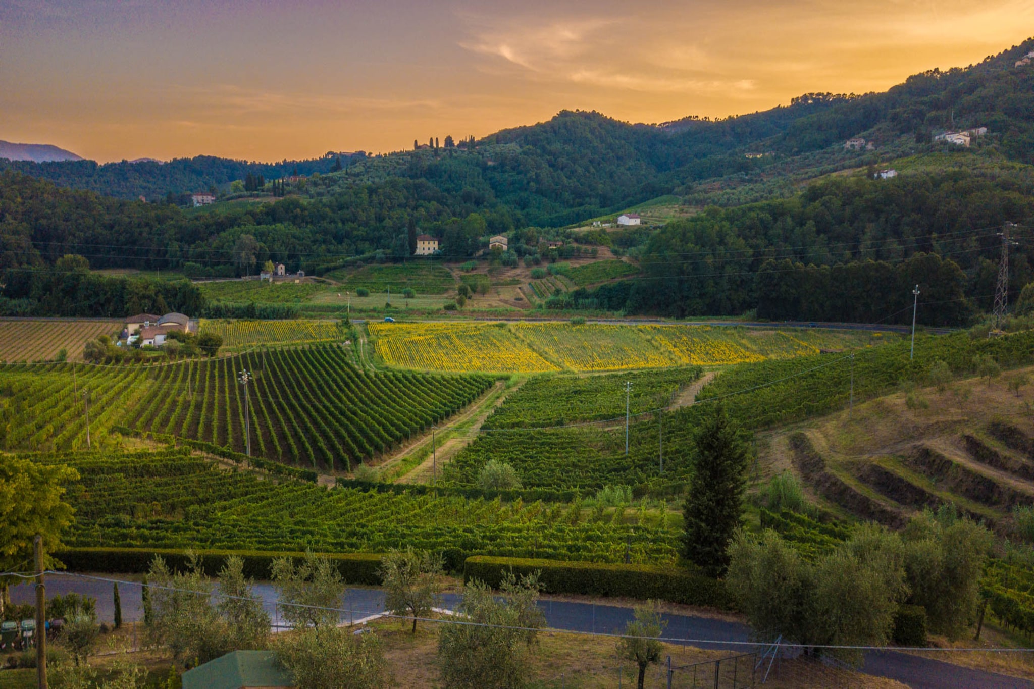 Valle del Sole Winery Farmhouse-Nicht getaggt
