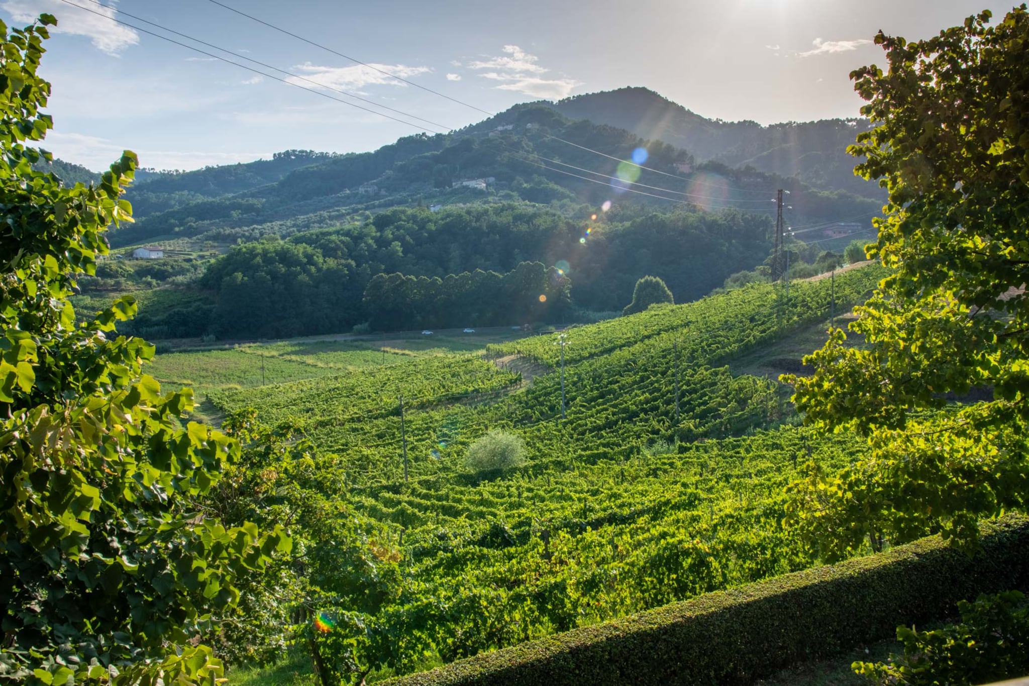 Valle del Sole Winery Farmhouse-Nicht getaggt