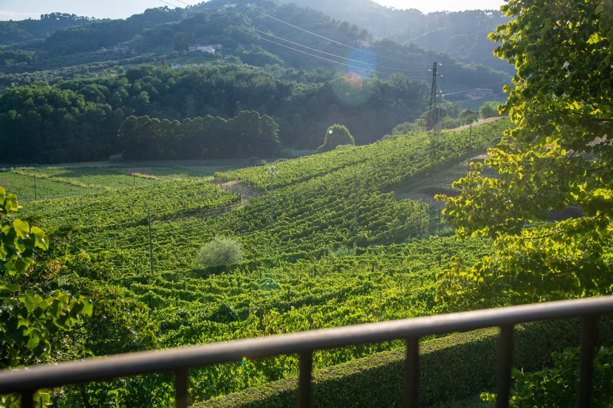 Valle del Sole Winery Farmhouse-Nicht getaggt