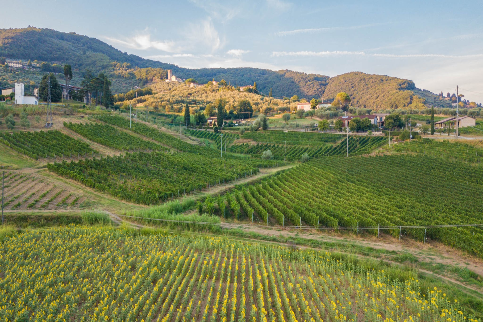Valle del Sole Winery Farmhouse-Nicht getaggt