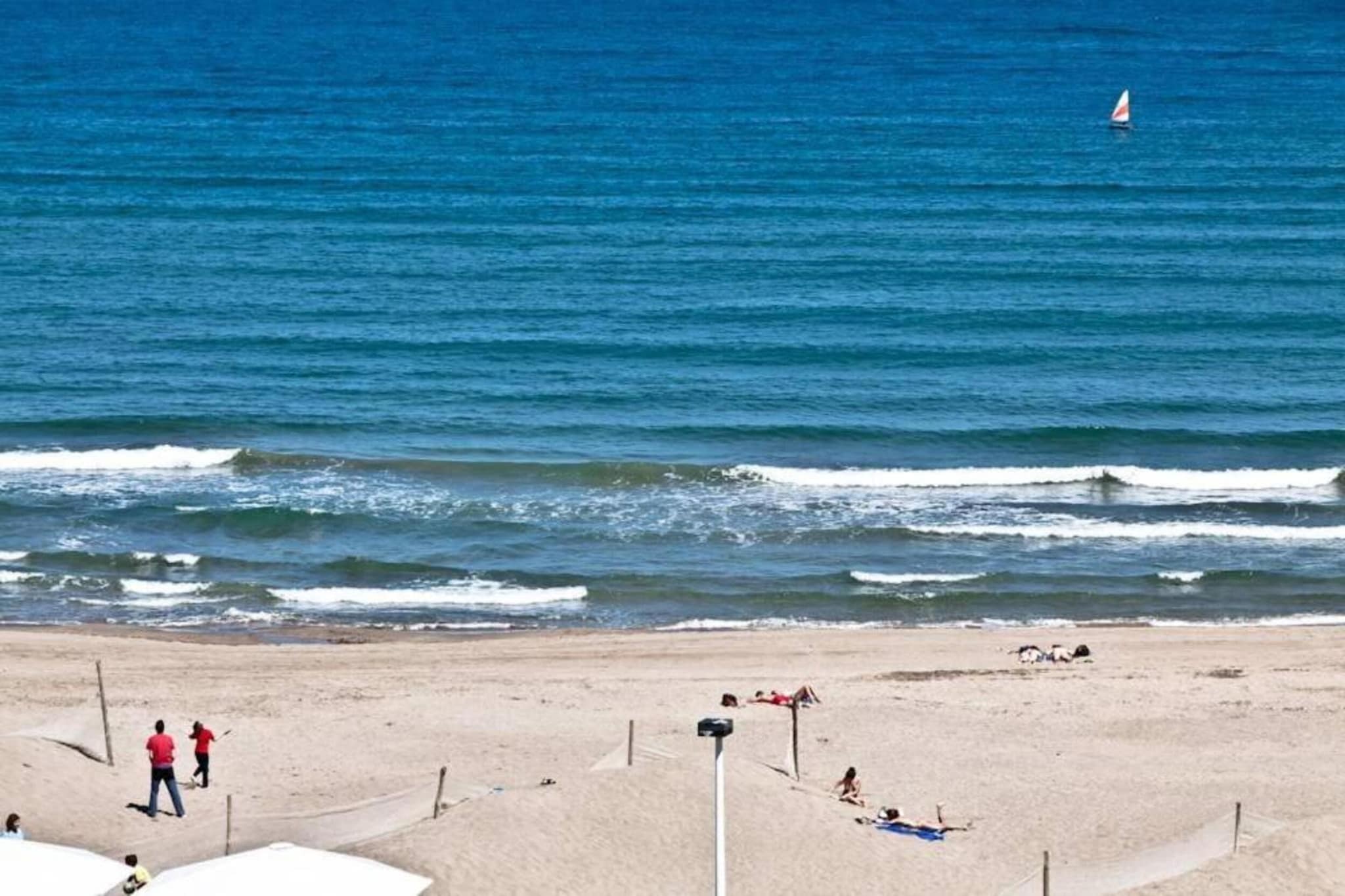 Florida-Gebieden zomer 1km