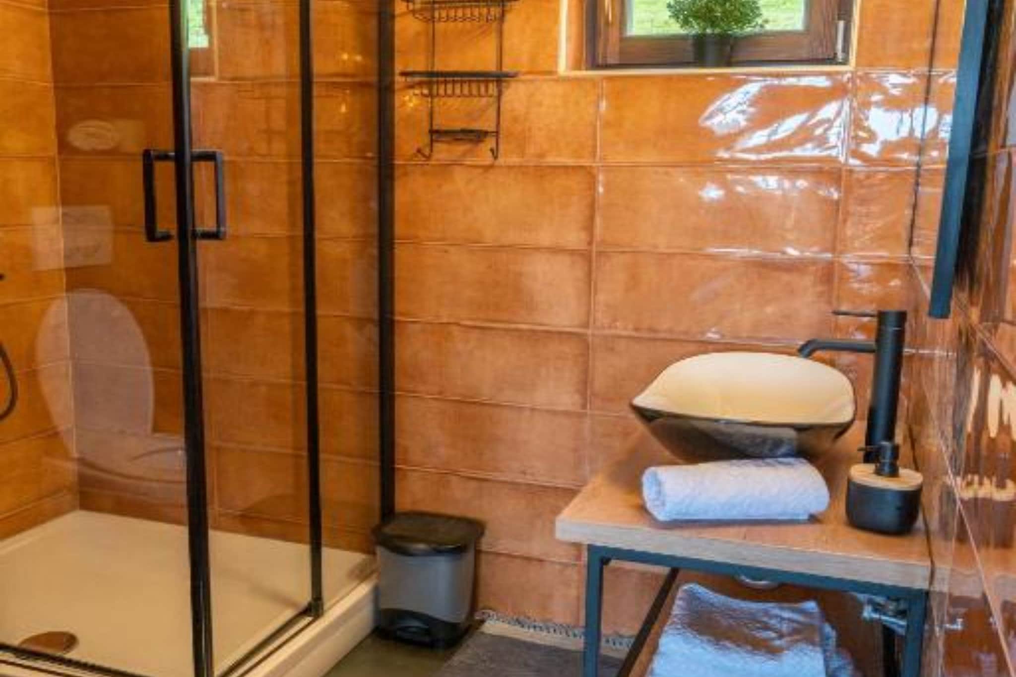 Villa Breg - Four Bedroom Villa with Pool, Hot-Tub and Sauna-Badkamer