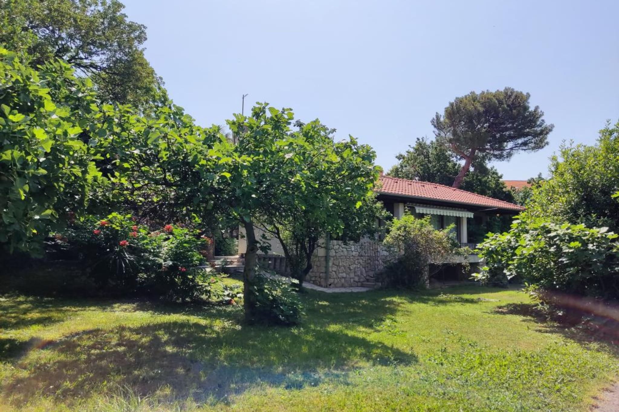 Apartment & Rooms Villa Oliva - Two Bedroom Apartment-Außenbereich