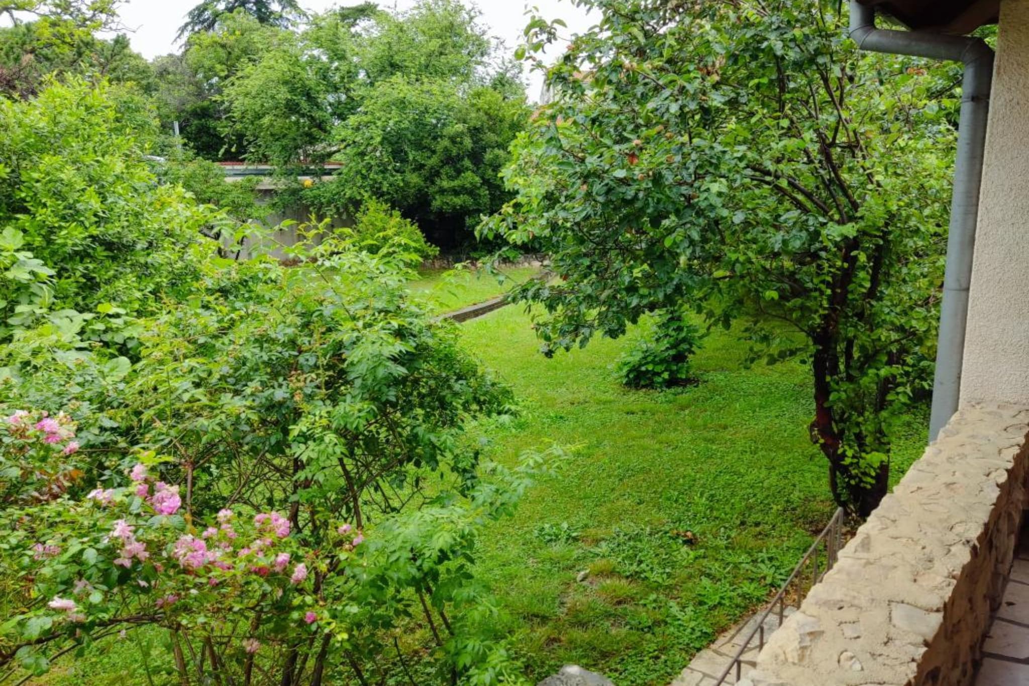 Apartment & Rooms Villa Oliva - Two Bedroom Apartment-Gärten Sommer
