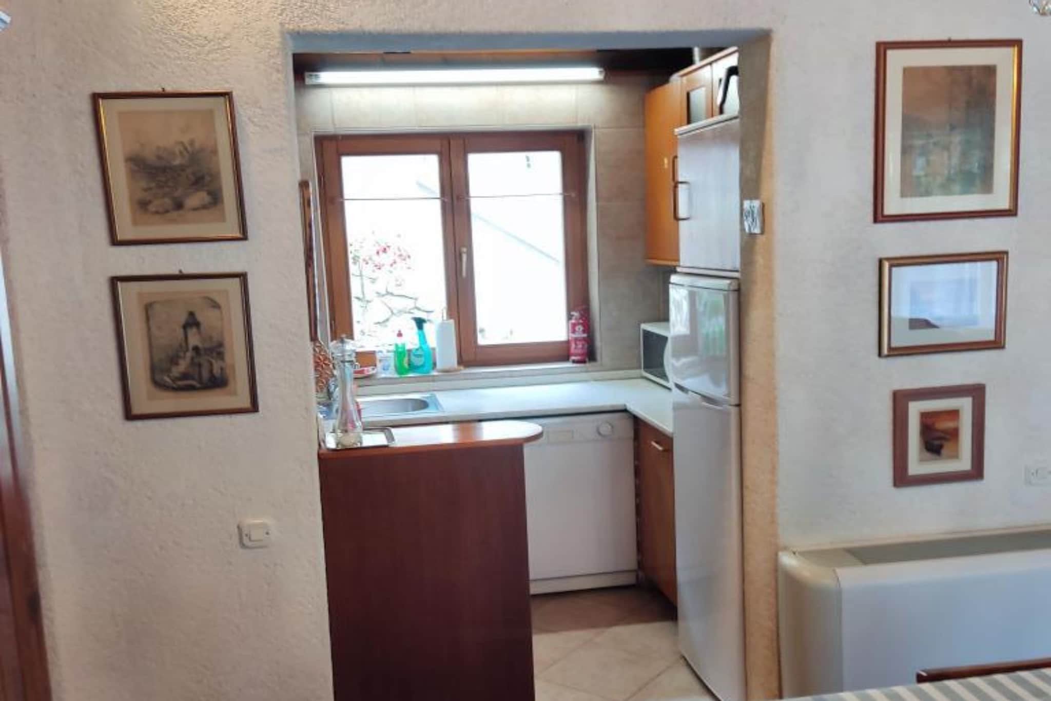Apartment & Rooms Villa Oliva - Two Bedroom Apartment-Küche