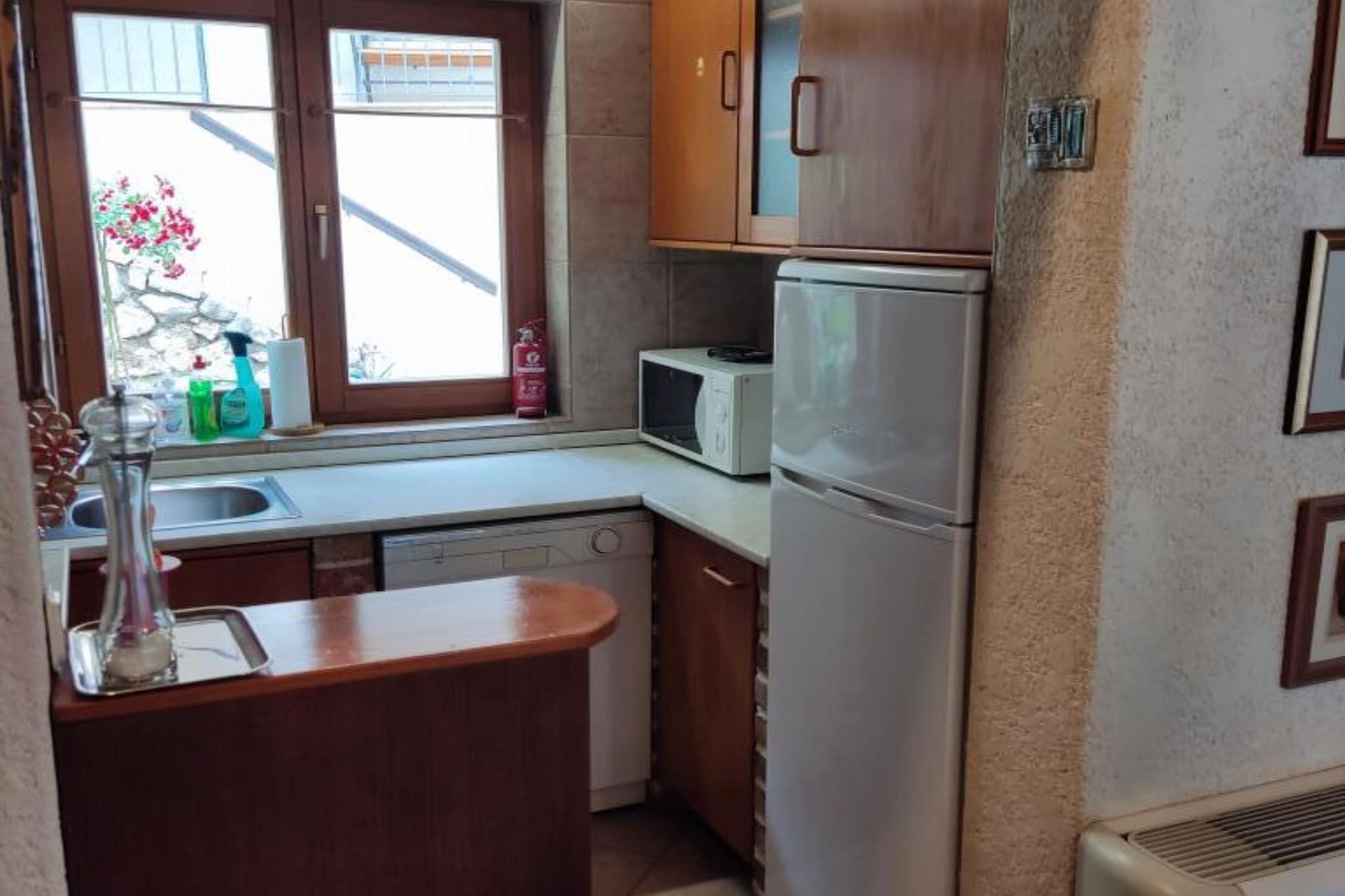 Apartment & Rooms Villa Oliva - Two Bedroom Apartment-Küche