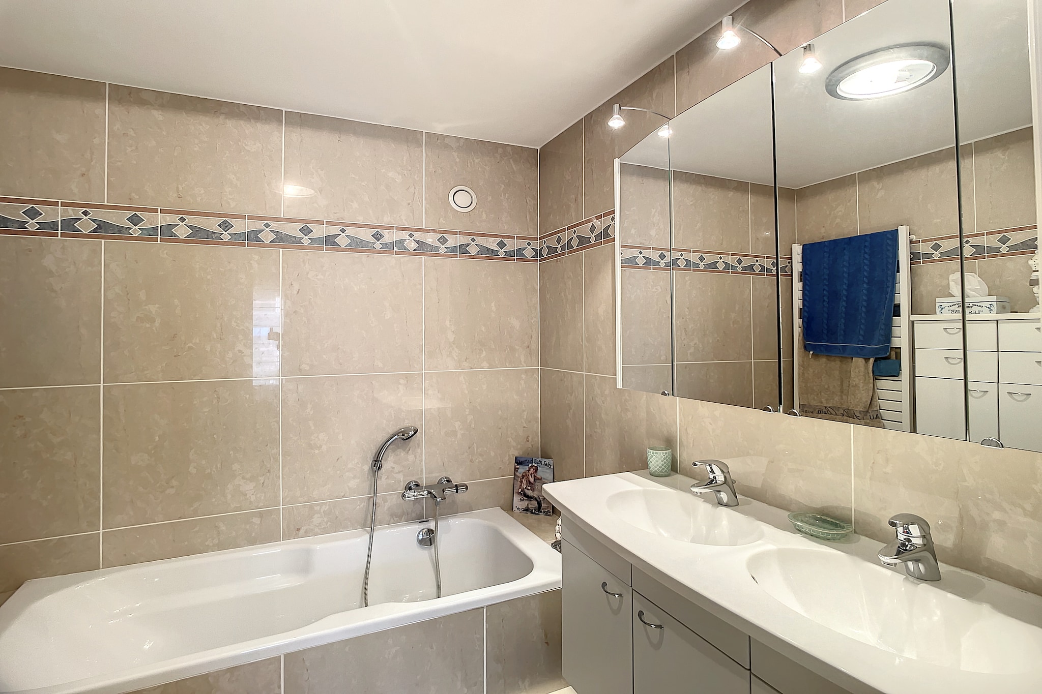 Zeerobben C33-Bathroom