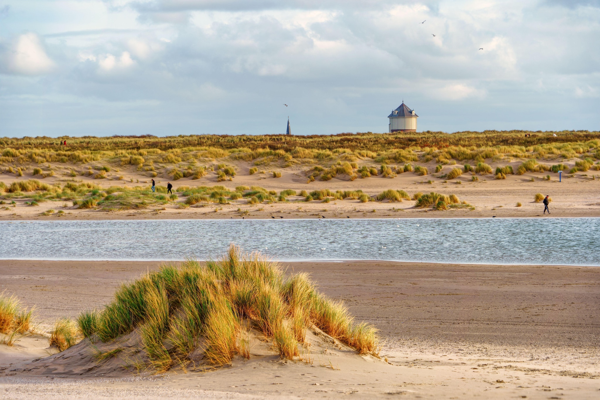 Seals A12-Gebieden zomer 5km