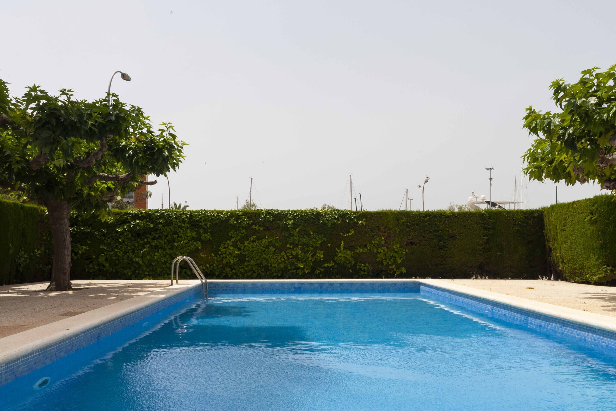 1039 PORT BADIA Estudio-Zwembad