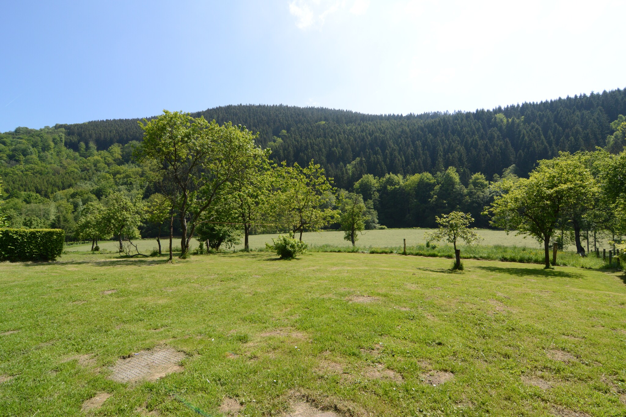 Vakantiehuis La Gleize max. 9 personen 4 slaapkamers sauna #18