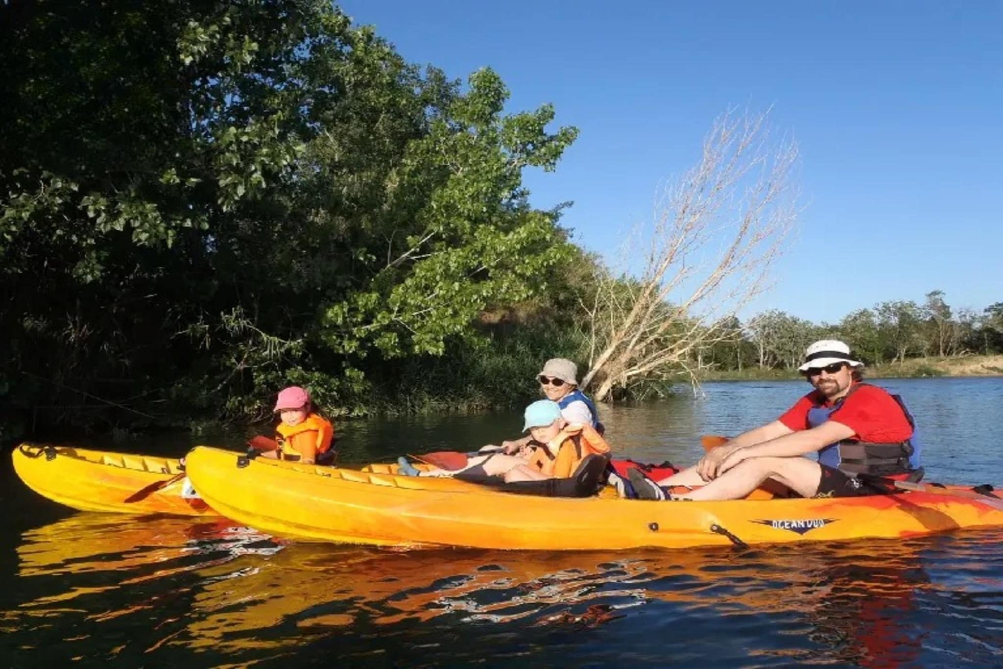 1202 NEPTUNO vista mar-Areas within 1km in summer