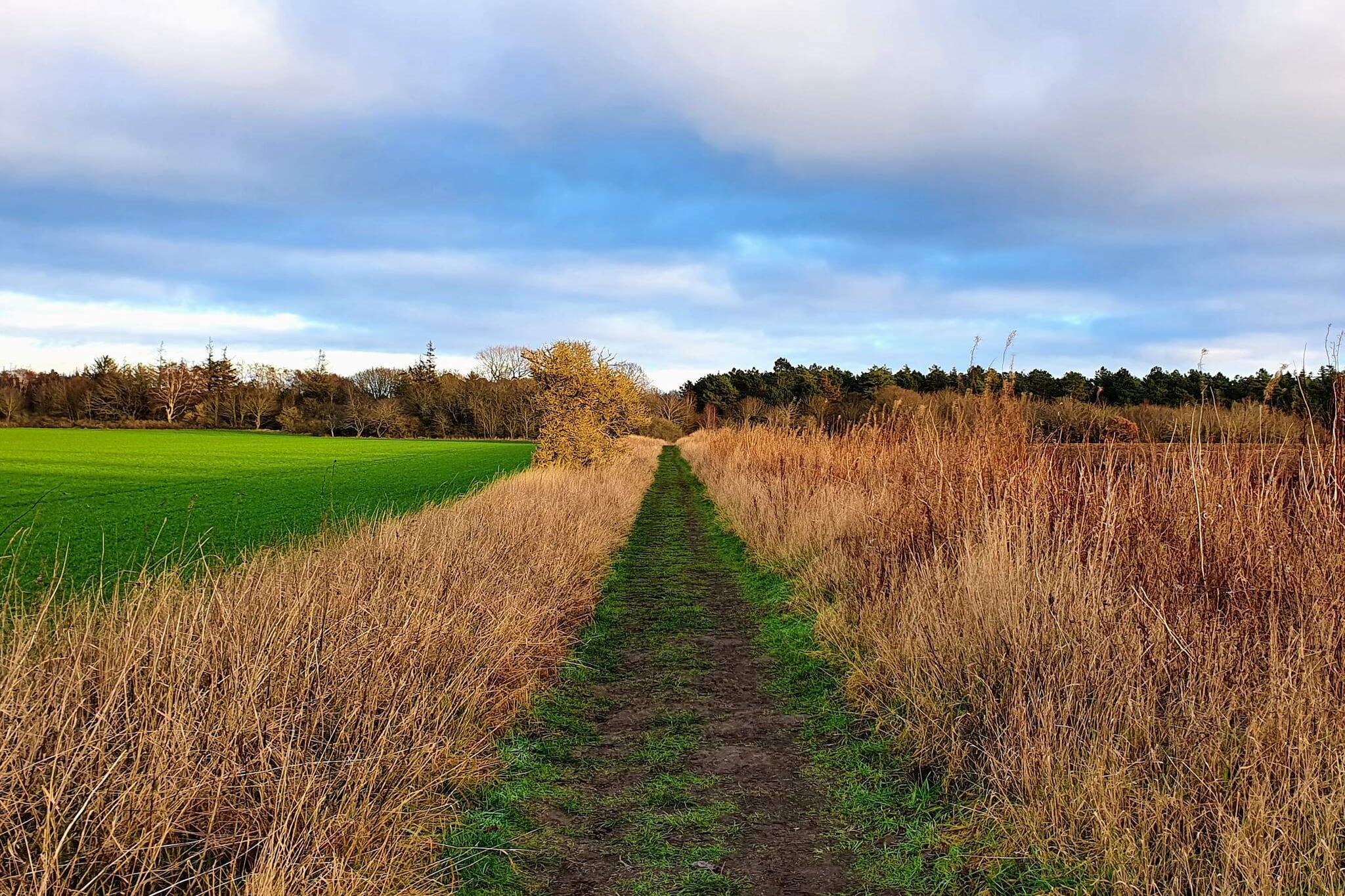 6 Personen vakantie huis in Grenaa-Niet-getagd