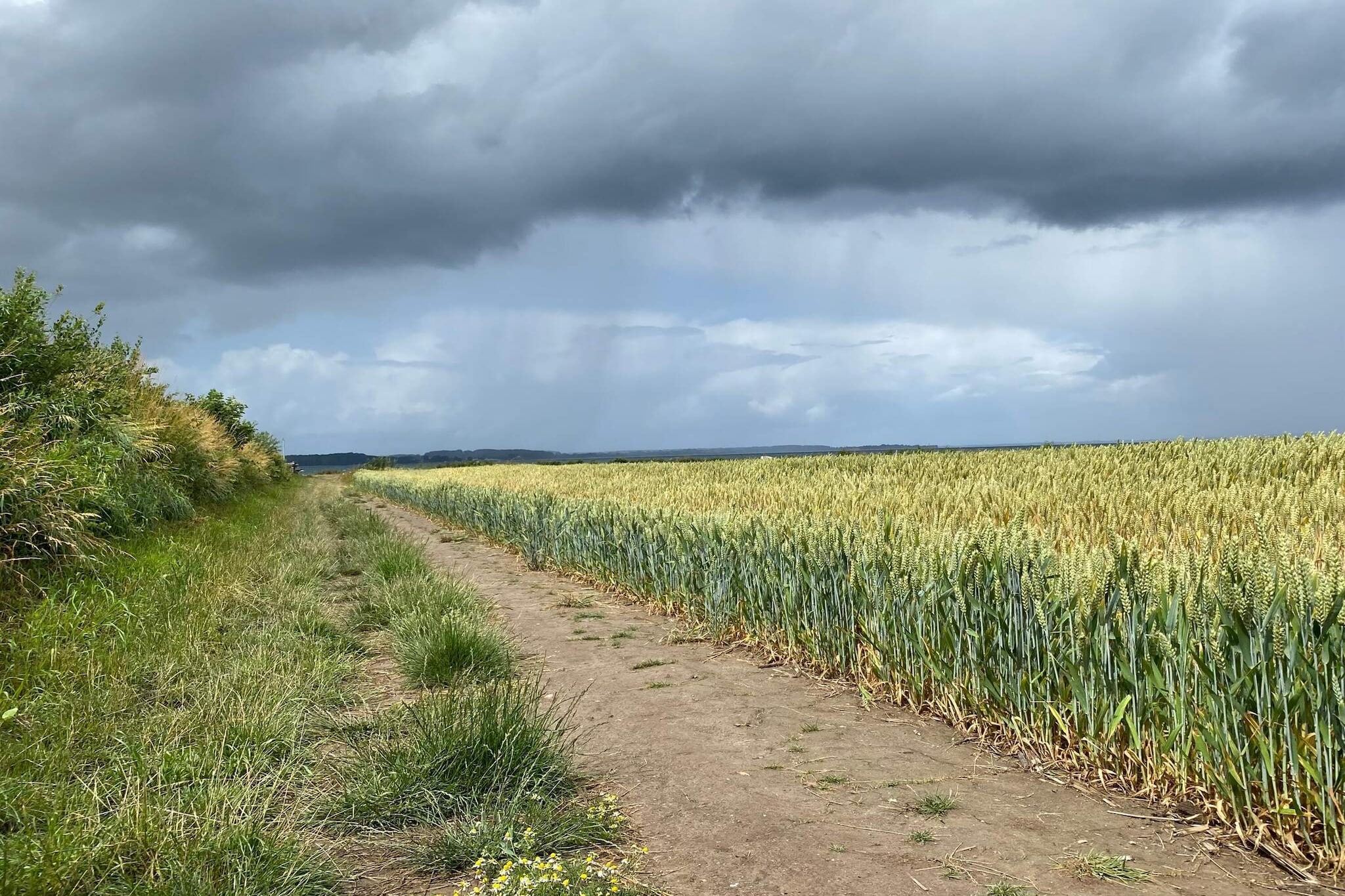 5 star holiday home in Henne