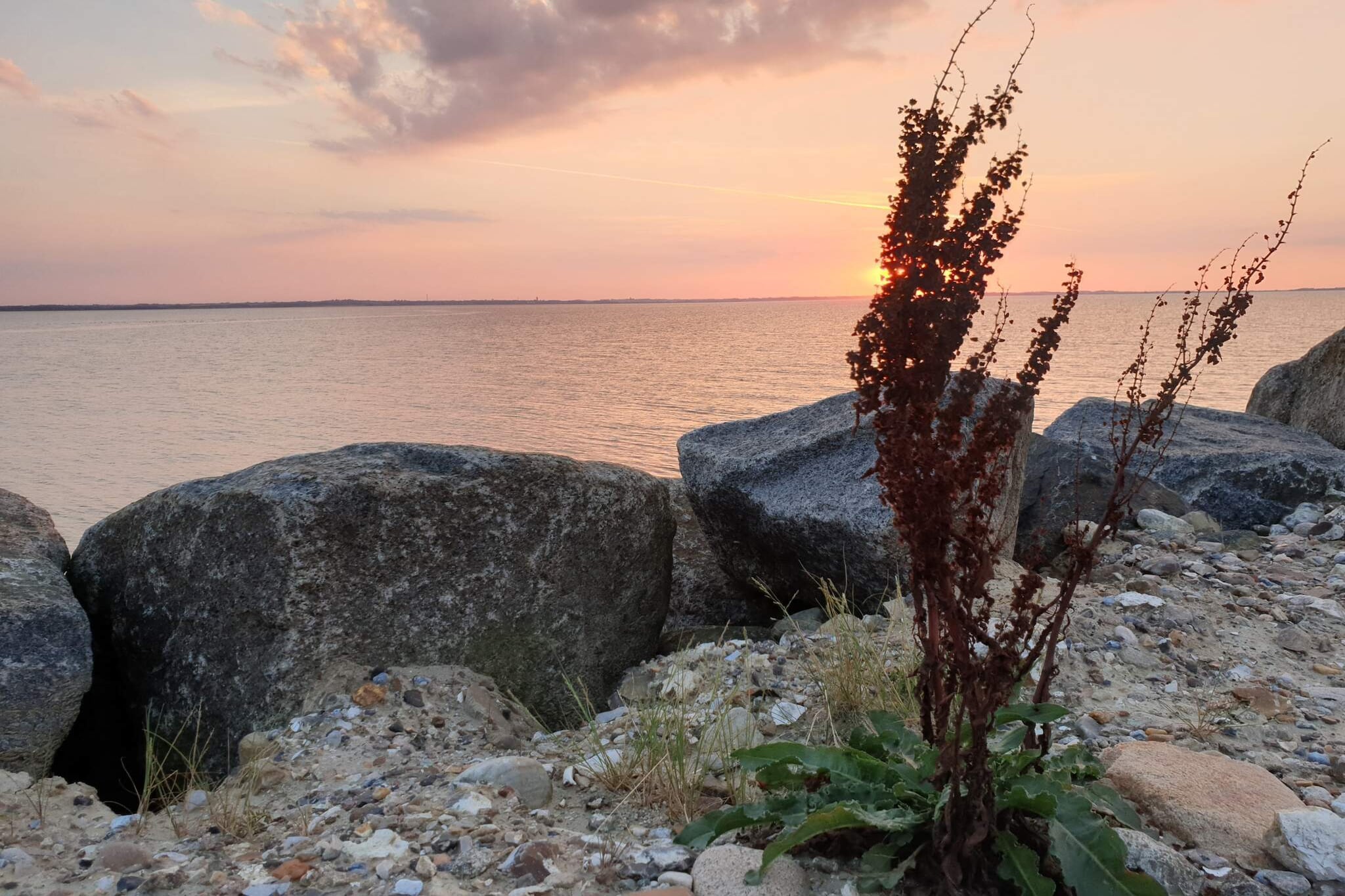 Vakantiehuis voor gezinnen in Denemarken-Waterzicht