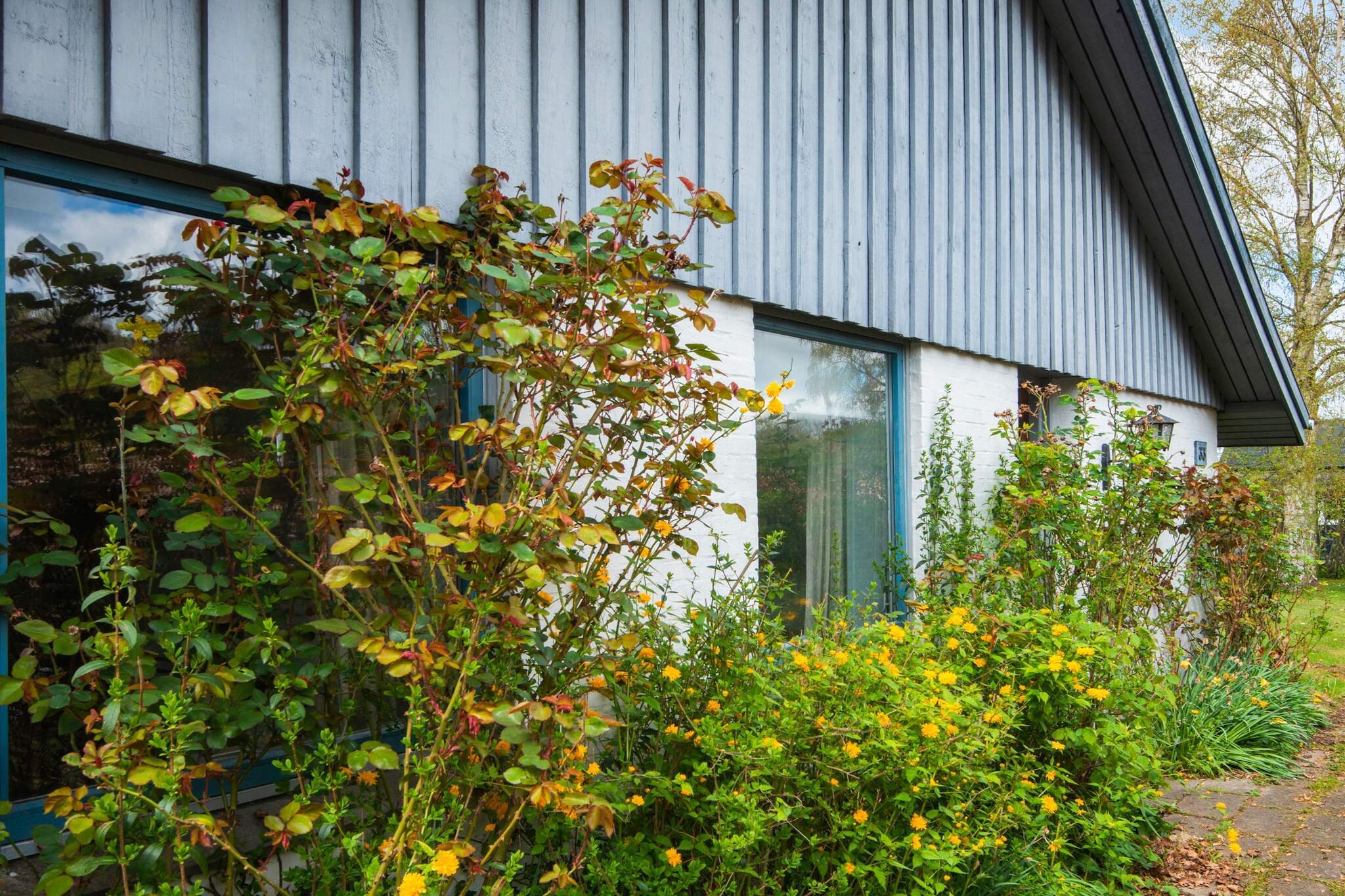 4 Personen vakantie huis in Ansager-Uitzicht