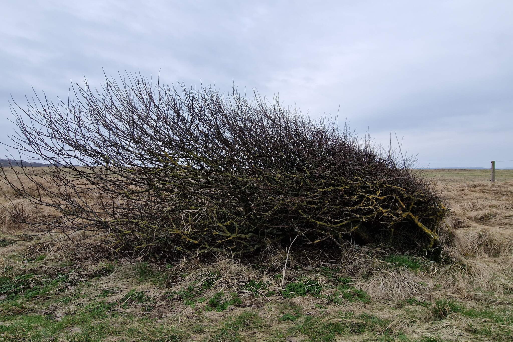 2 Personen vakantie huis in Grenaa-Niet-getagd