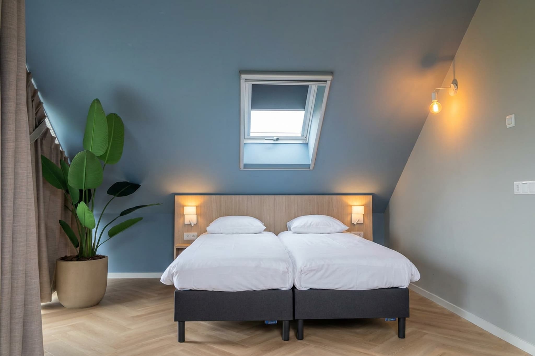 Duinvilla Wellness 4 - Bedroom