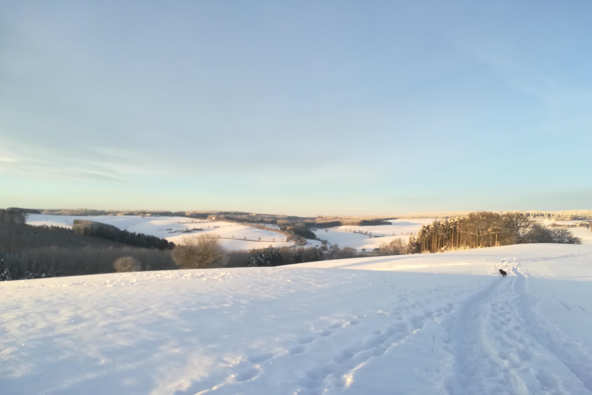 Eifelleben in Hillesheim-Zone d'hiver à 20 km
