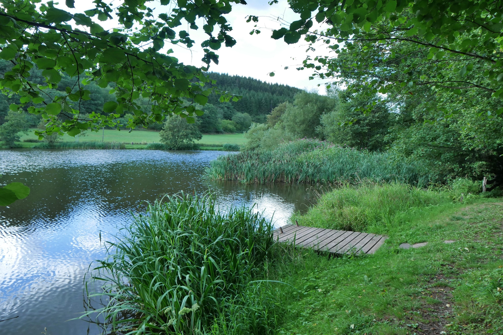 Eifelleben in Hillesheim-Zones d'été à 5 km