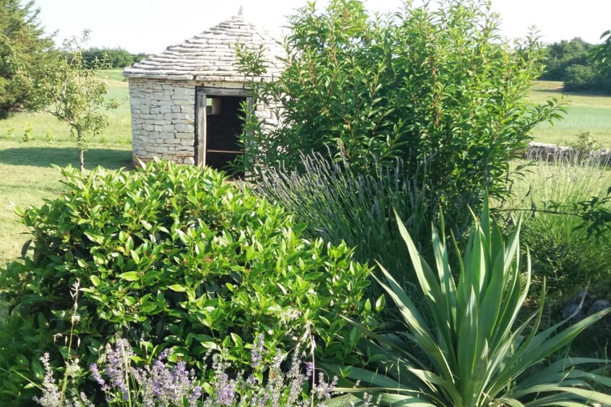 Authentic Istrian Holiday Home for Unforgettable Stays - Three Bedroom Holiday Home with Private Pool-Buitenlucht