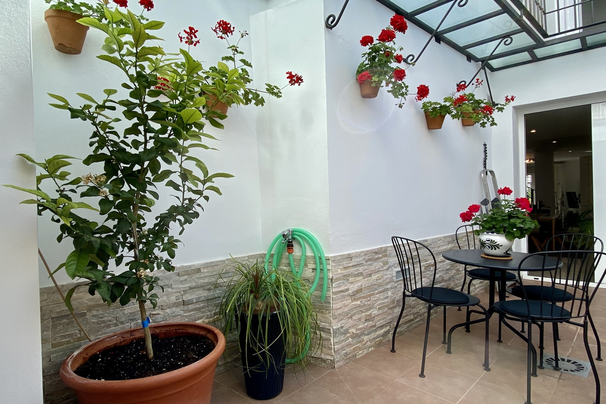 Casa Animas Centro by Casasol-Terrace