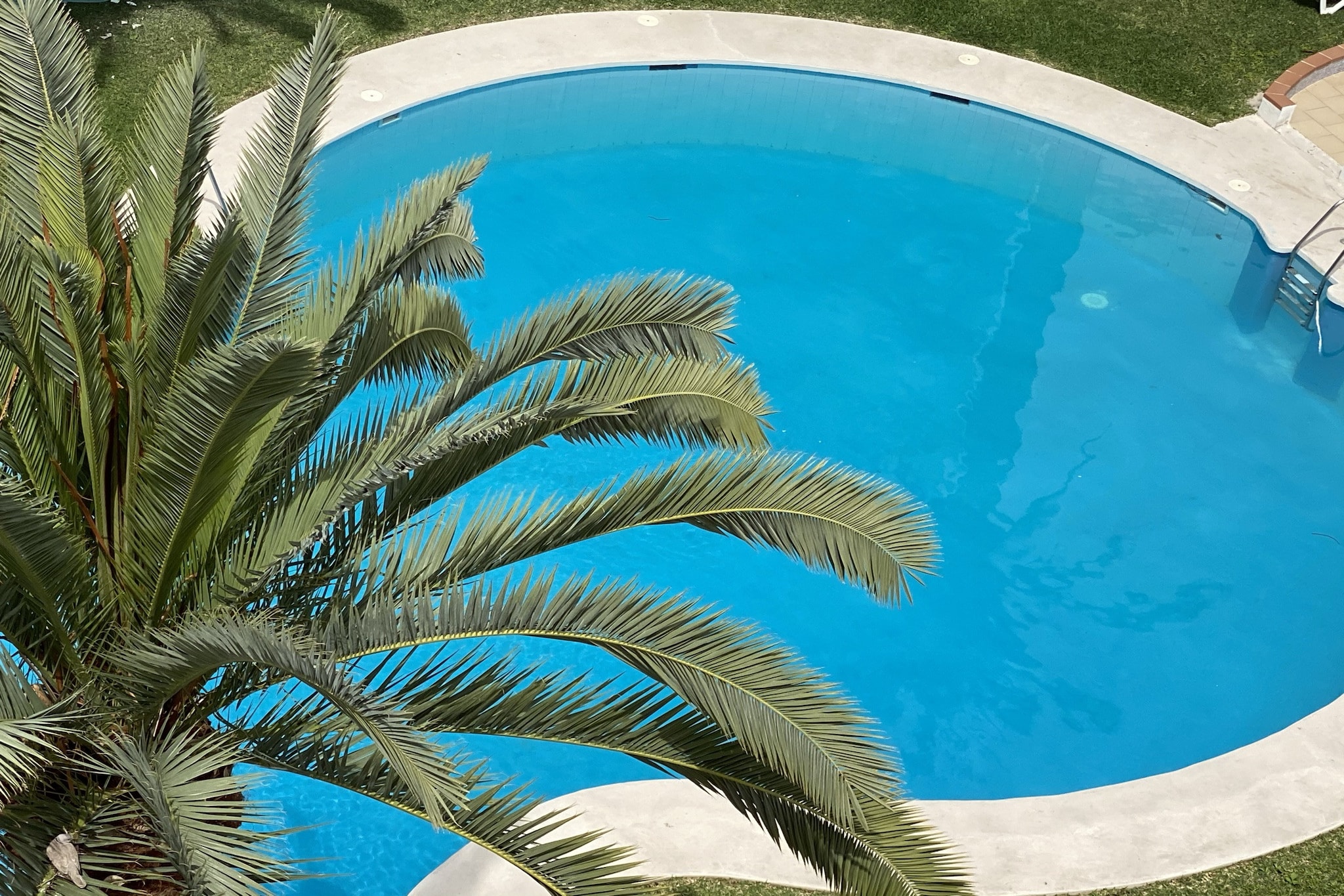 poolofhouse