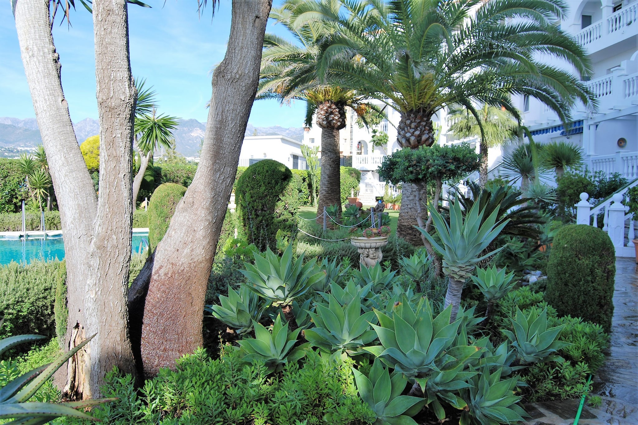 Stella Maris Beachfront 1A by Casasol-Gardens summer