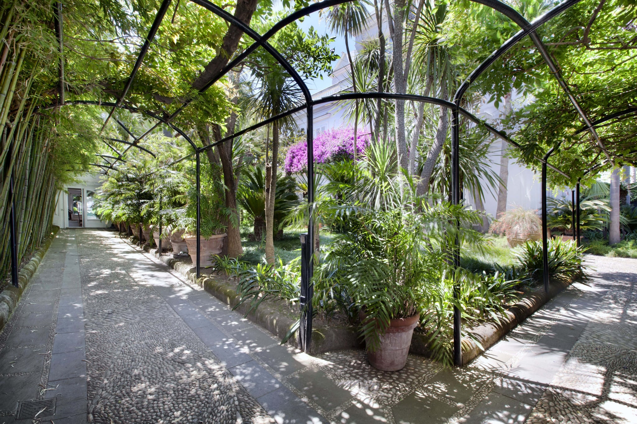 Villa Le Camelie-Gardens summer
