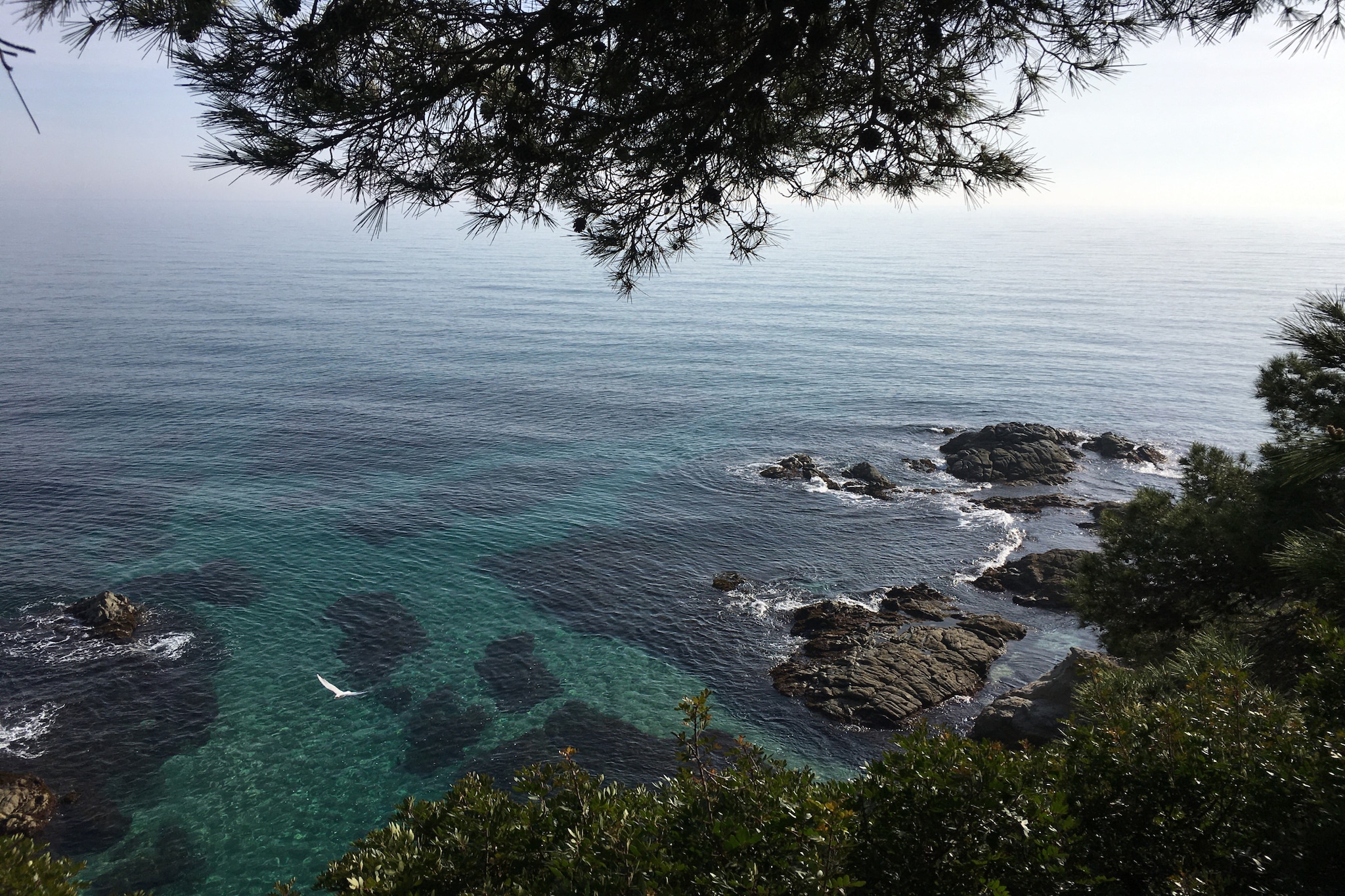 Vivalidays Lara - Fenals - LLoret de Mar-Buitenlucht