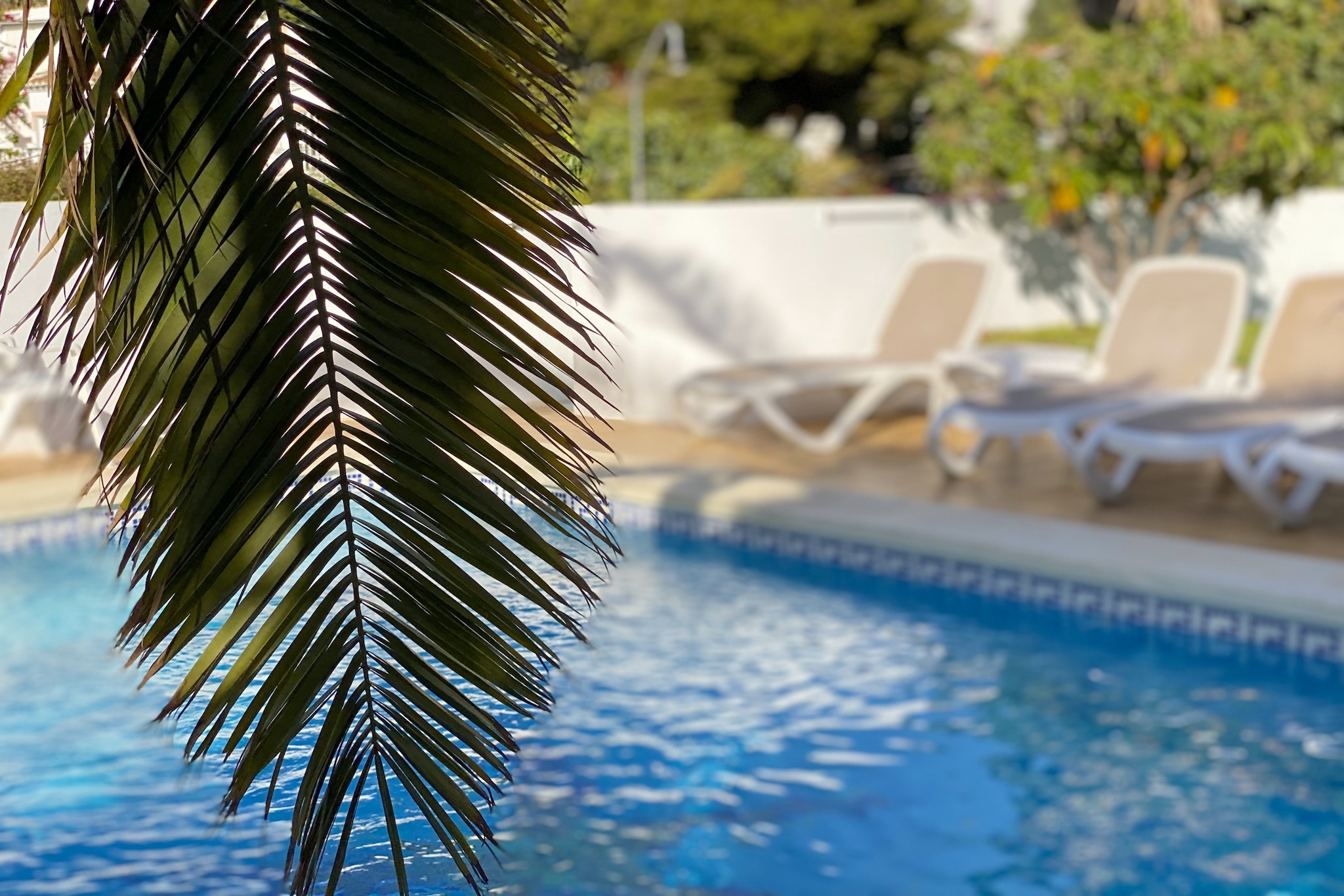 Villa Sandra Little Haven Apartment by Casasol-Piscine