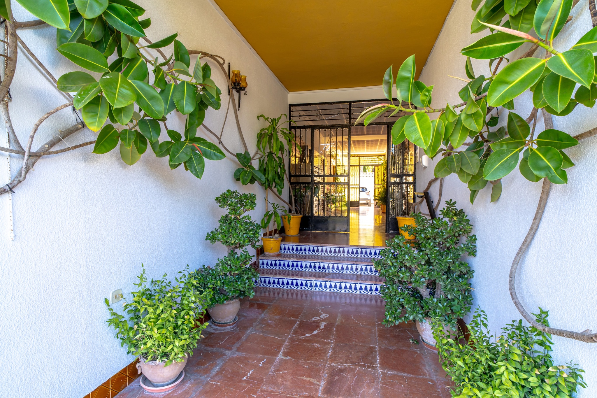 Acapulco Apartment 7 by Casasol-Außenbereich