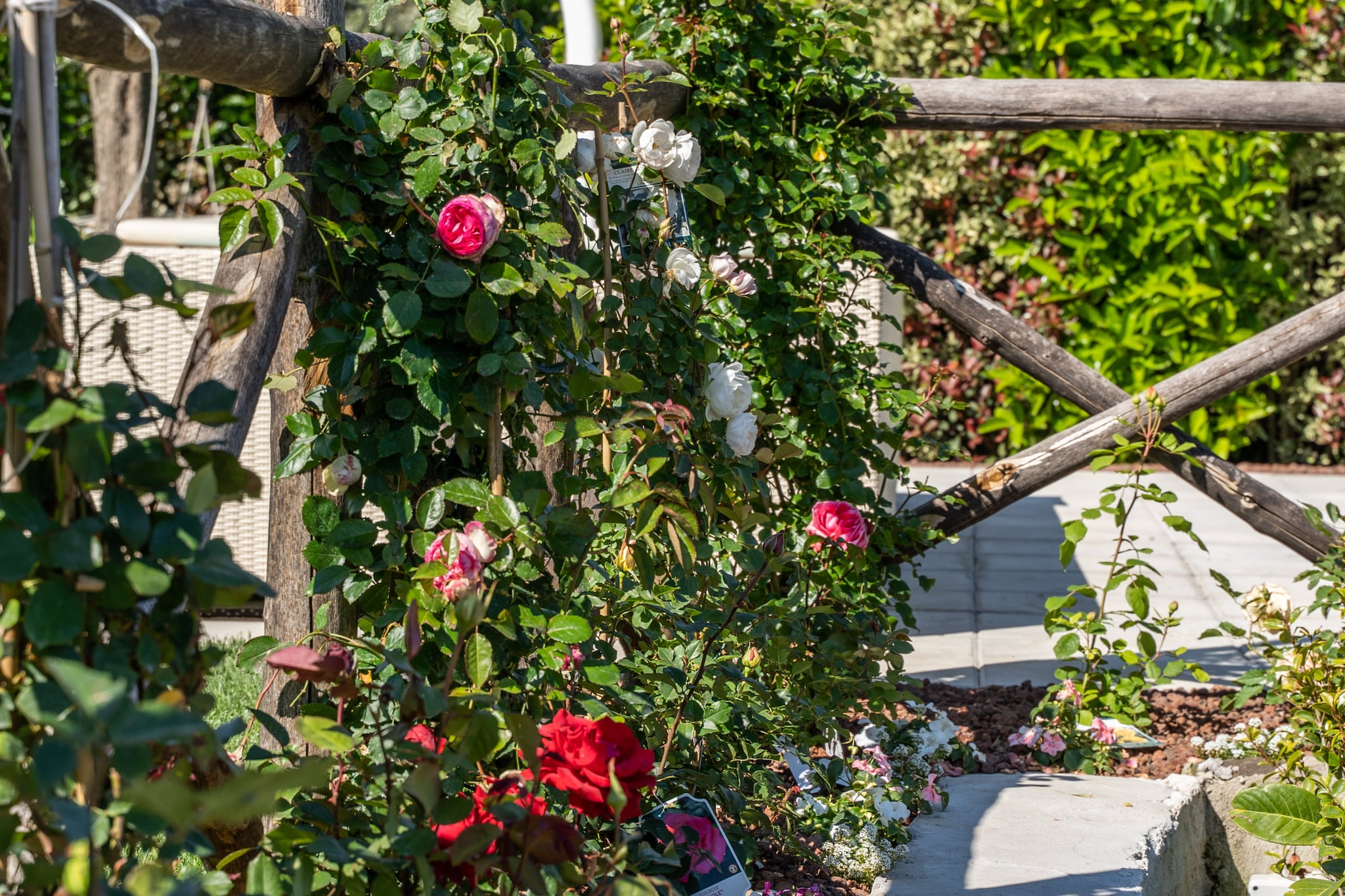 Dimora delle Rose-Gardens summer