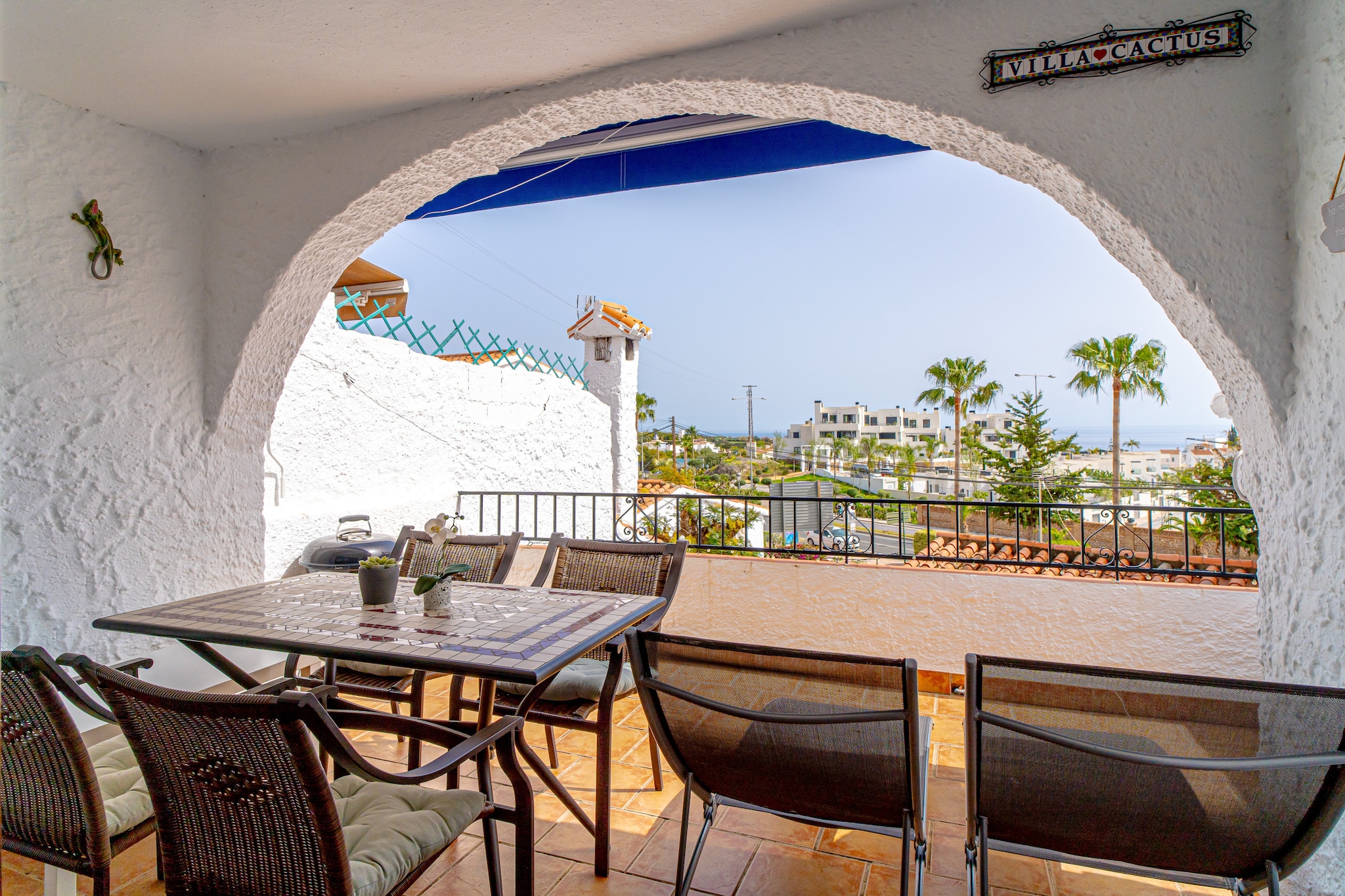 Capistrano Village Cactus by Casasol-Terrasse